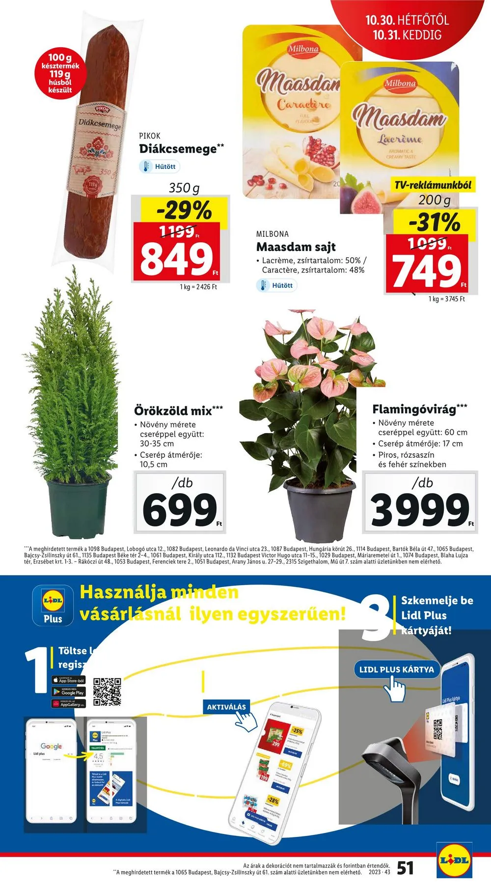 Lidl akciós újság 10.26–10.31 – 51. oldal