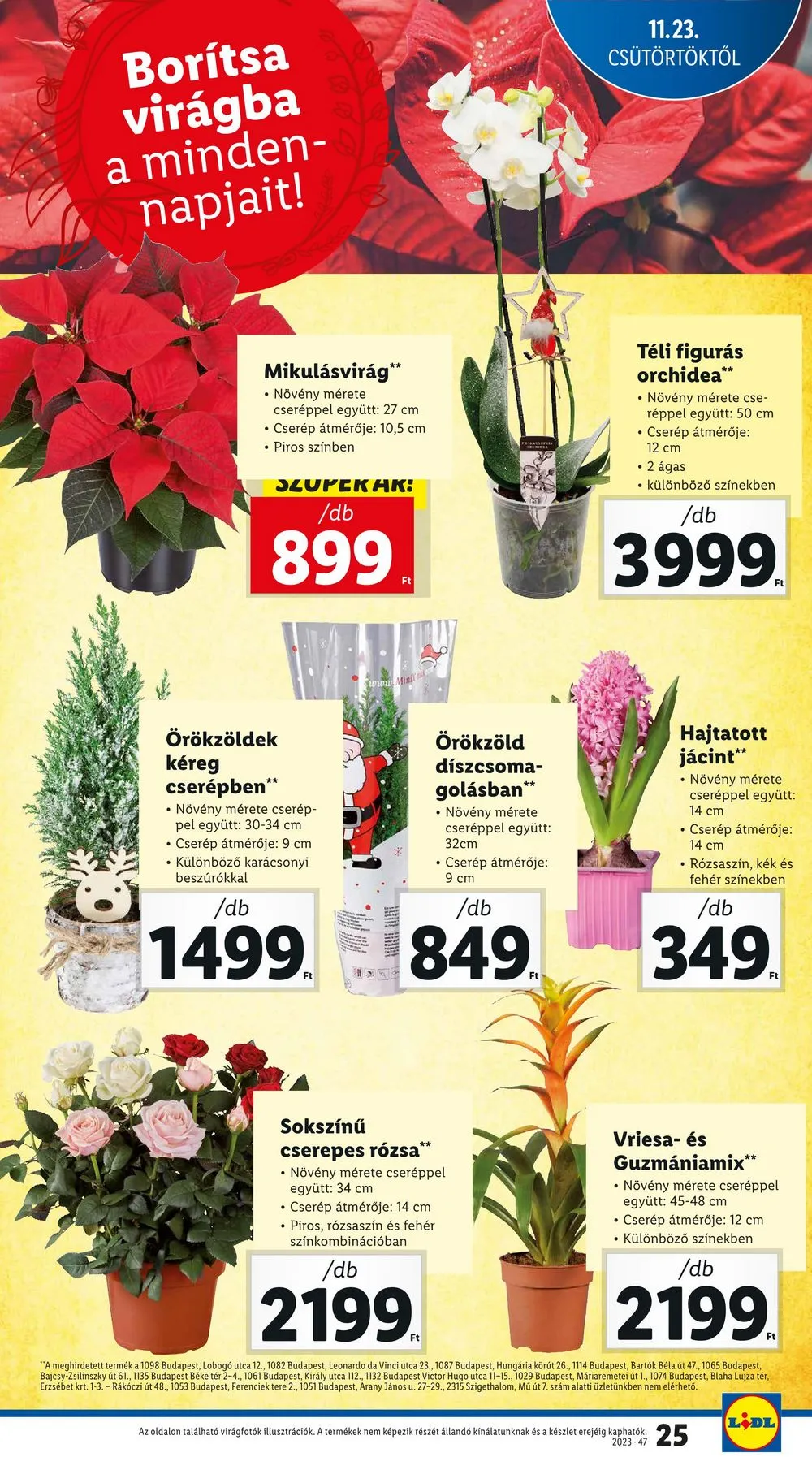 Lidl akciós újság 11.23–11.29 – 25. oldal