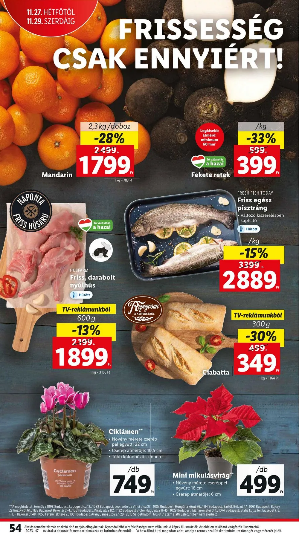Lidl akciós újság 11.23–11.29 – 54. oldal