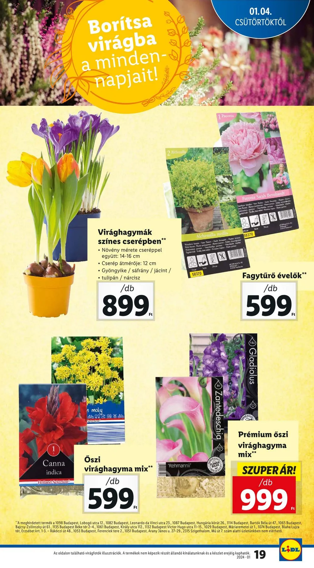Lidl akciós újság 01.04–01.10 – 19. oldal