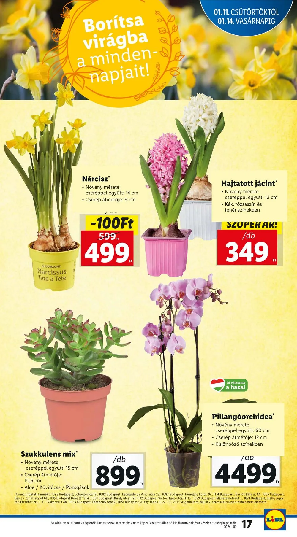 Lidl akciós újság 01.11–01.17 – 17. oldal
