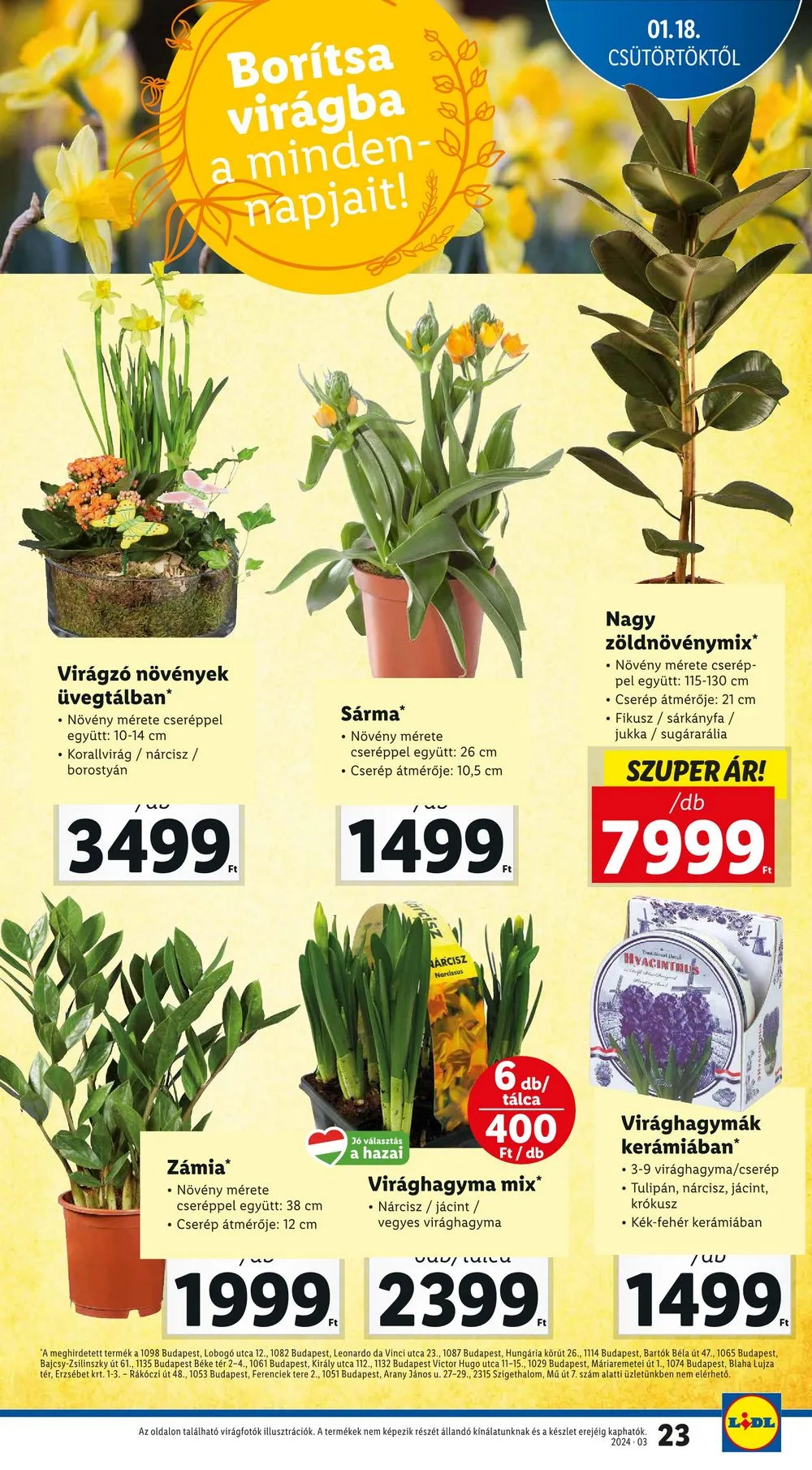 Lidl akciós újság 01.18–01.24 – 23. oldal