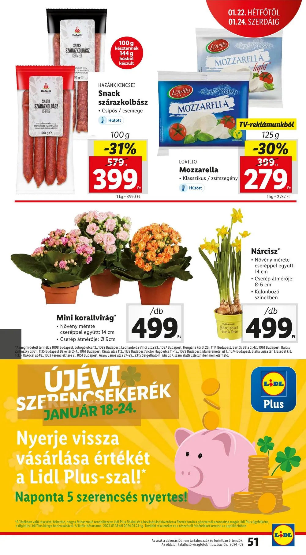 Lidl akciós újság 01.18–01.24 – 51. oldal