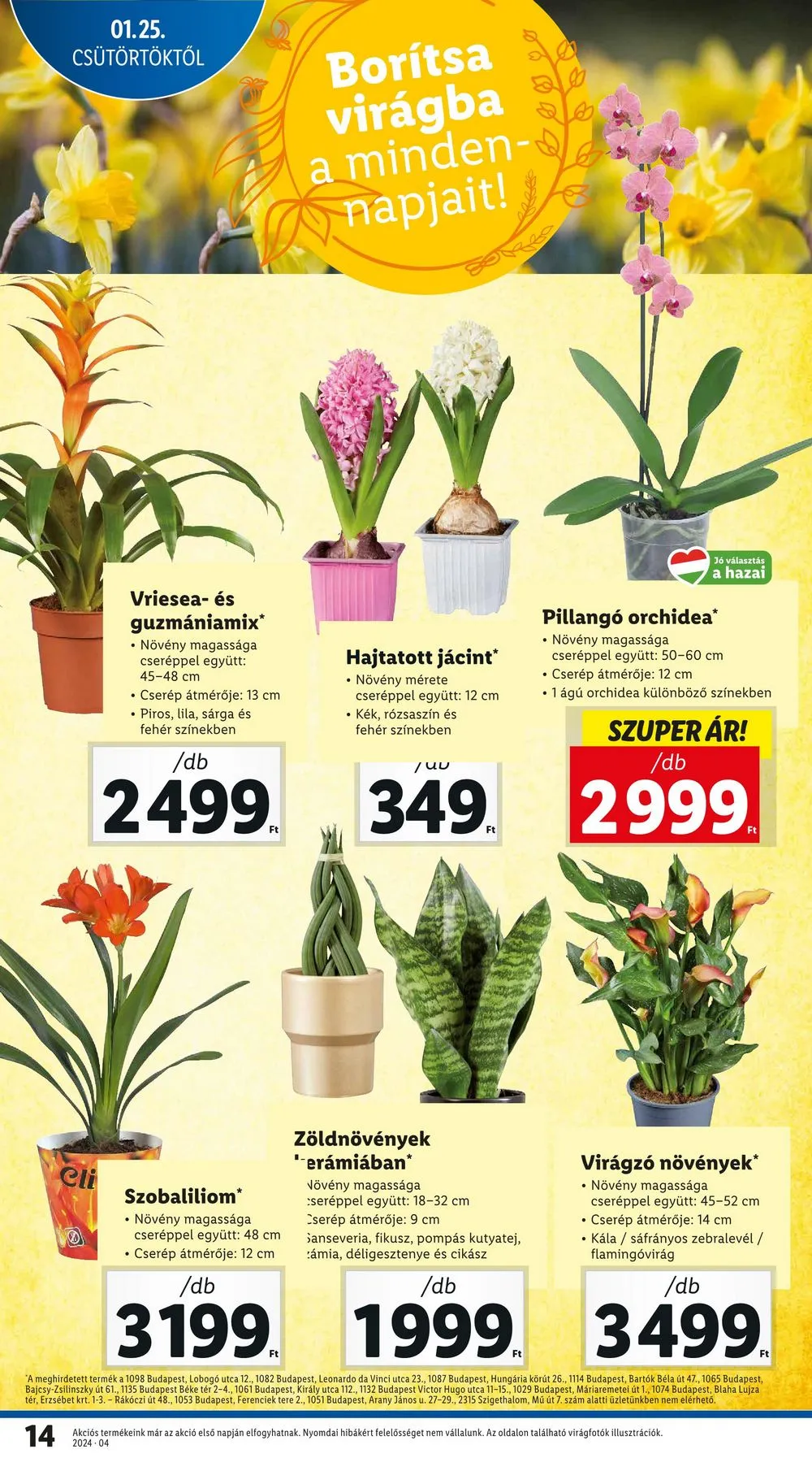 Lidl akciós újság 01.25–01.31 – 14. oldal