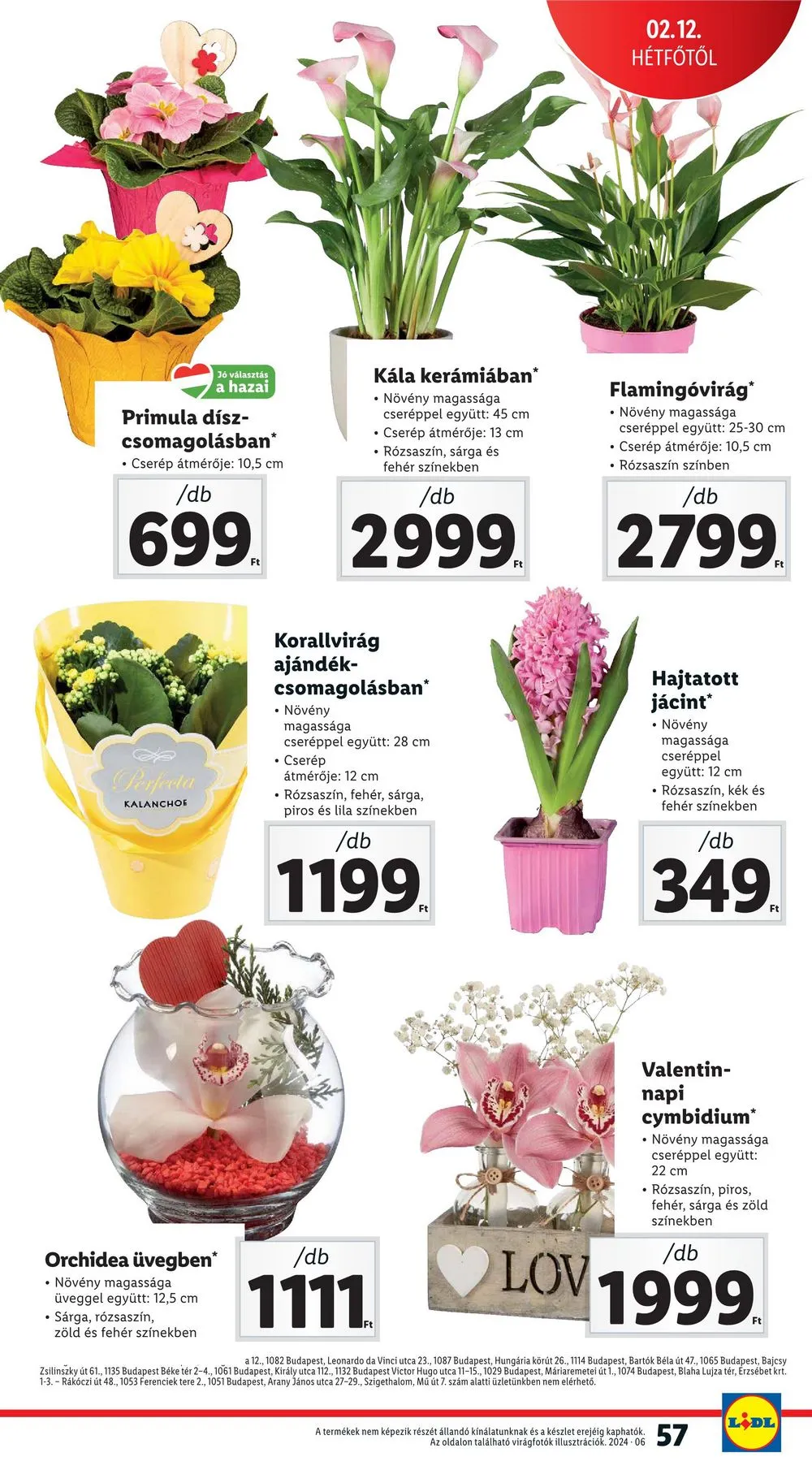 Lidl akciós újság 02.08–02.14 – 57. oldal