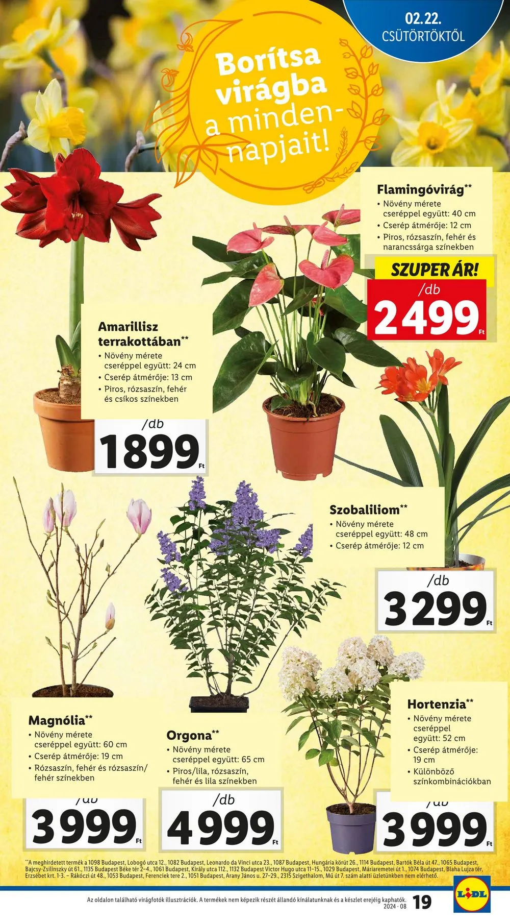 Lidl akciós újság 02.22–02.28 – 19. oldal
