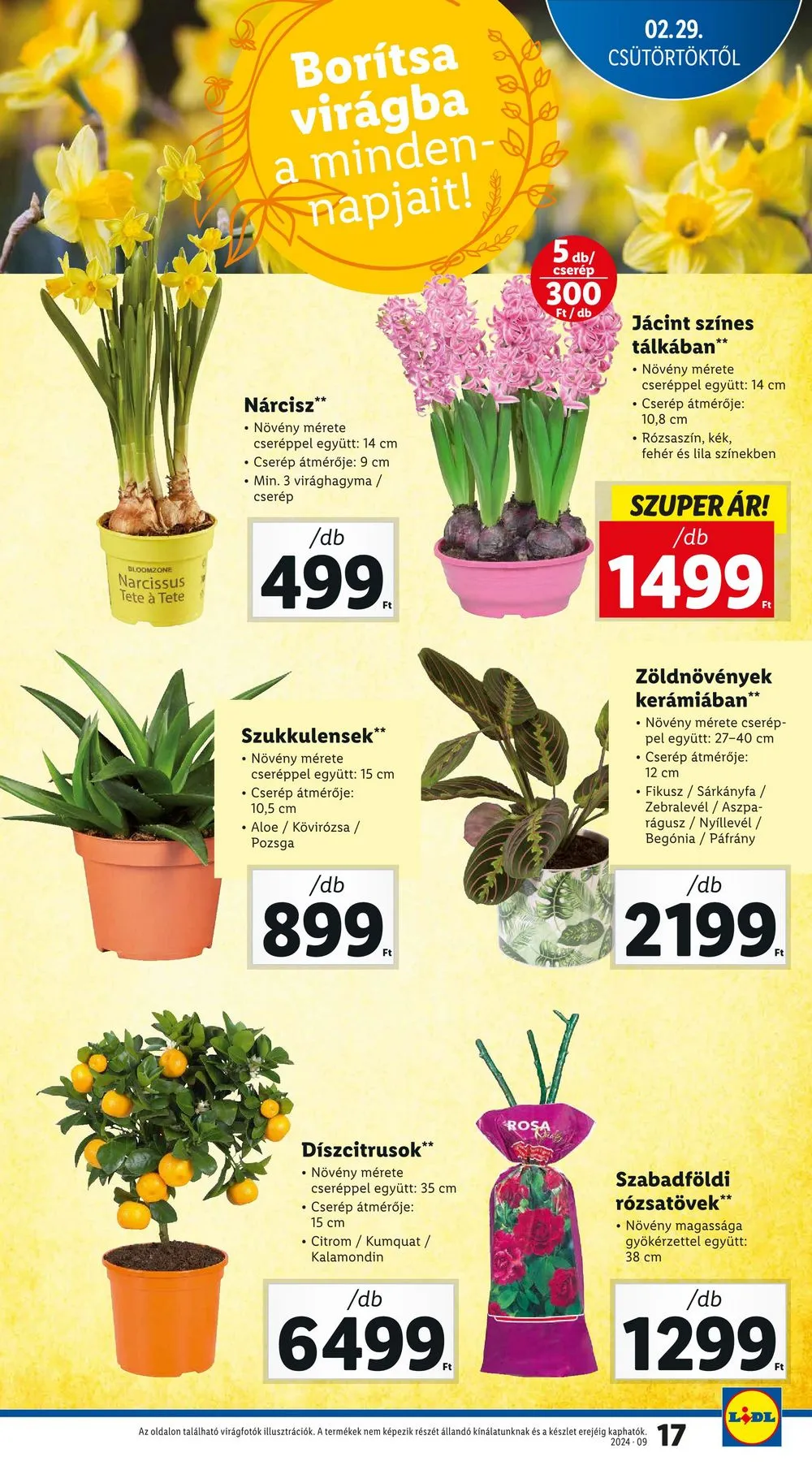 Lidl akciós újság 02.29–03.06 – 17. oldal