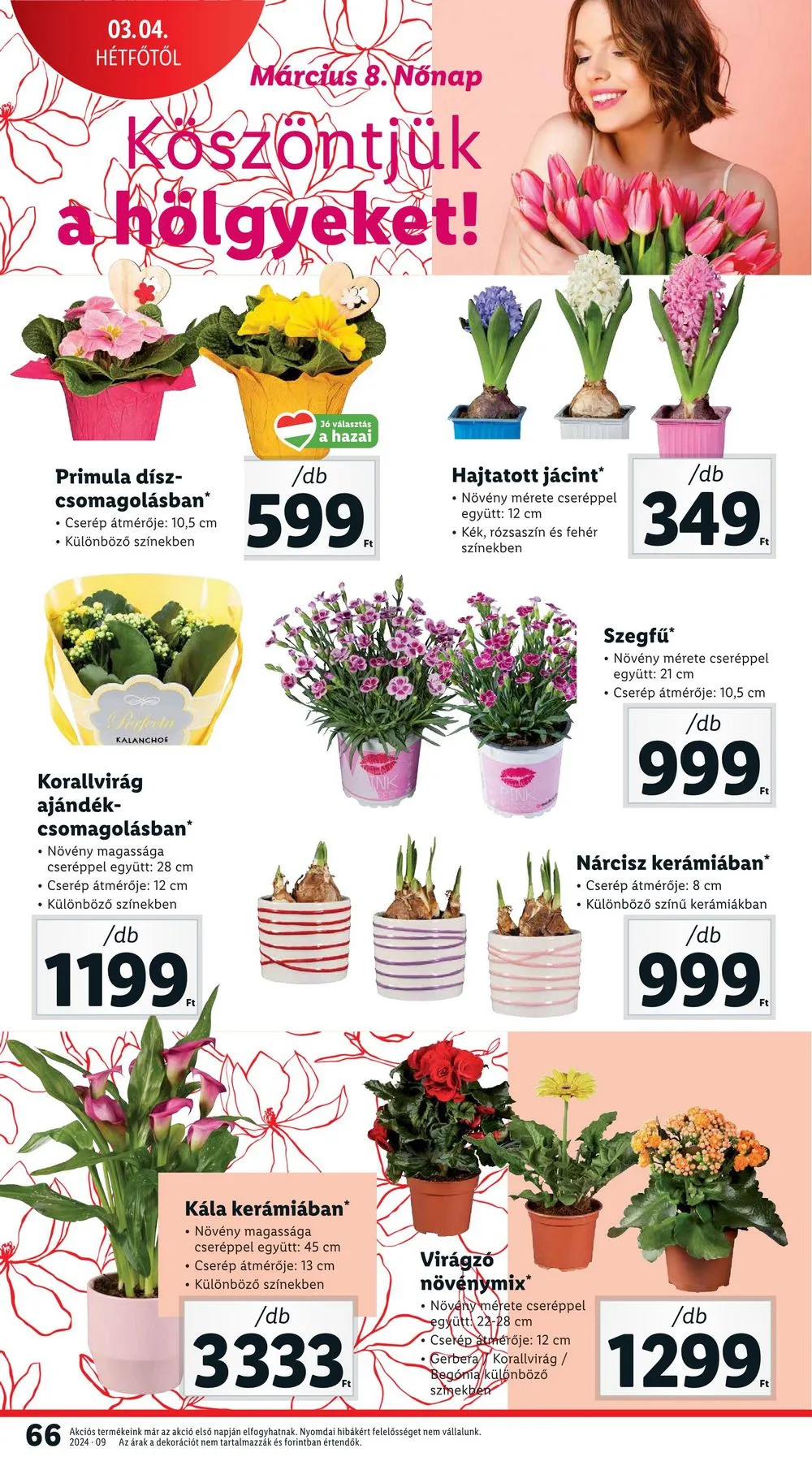 Lidl akciós újság 02.29–03.06 – 66. oldal
