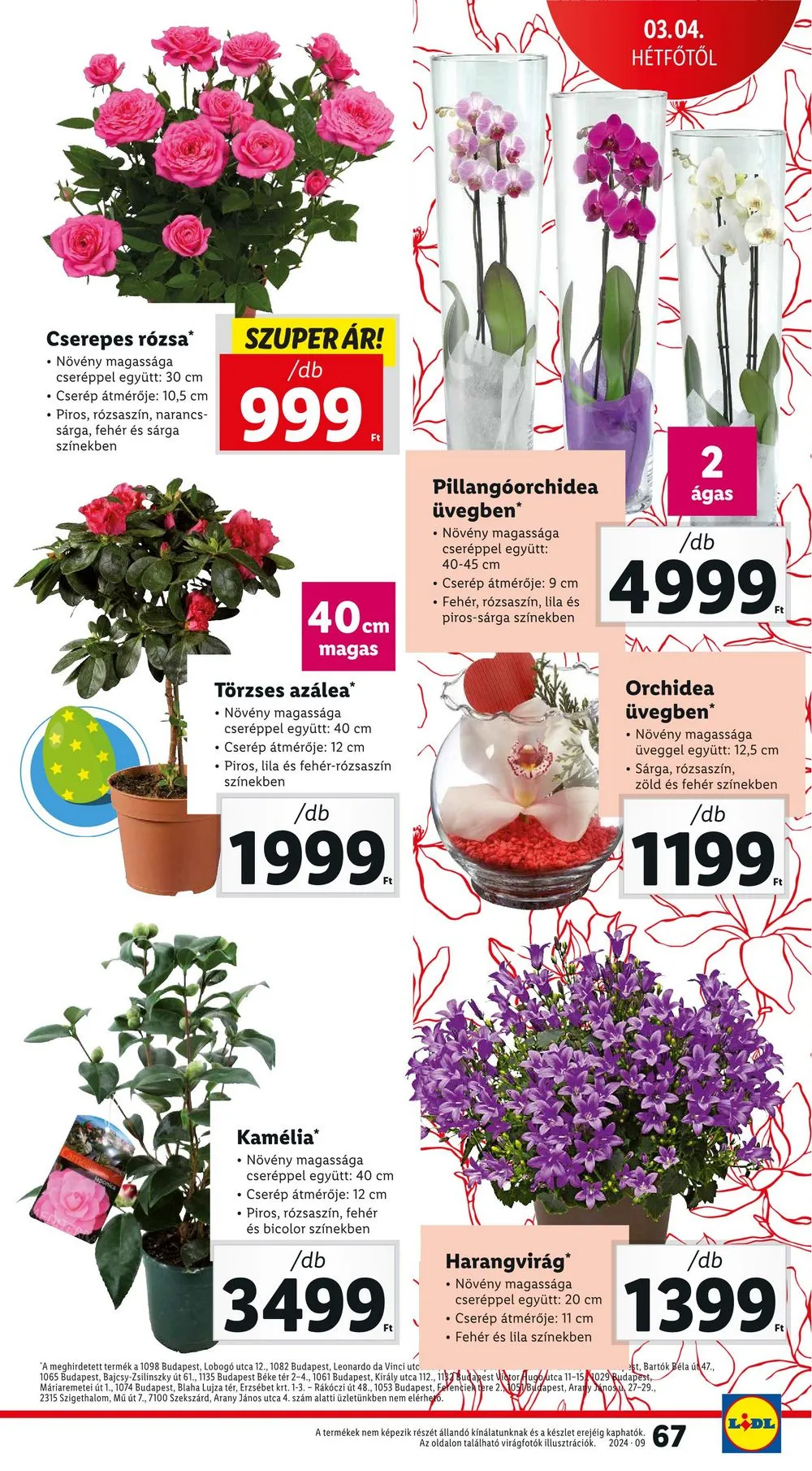 Lidl akciós újság 02.29–03.06 – 67. oldal