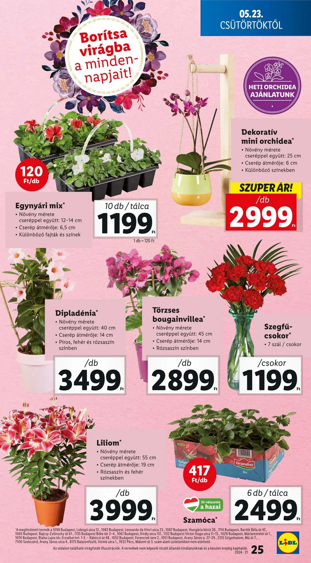 Lidl akciós újság 05.23–05.29 – 25. oldal