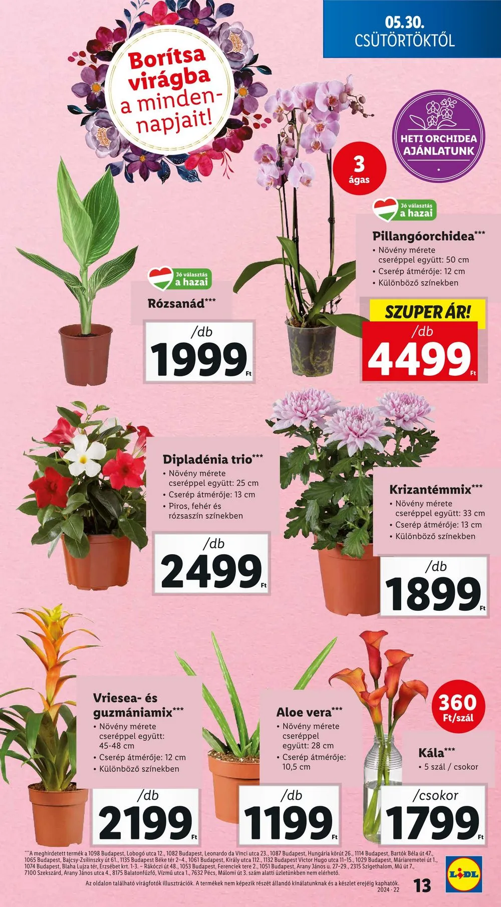 Lidl akciós újság 05.30–06.05 – 13. oldal