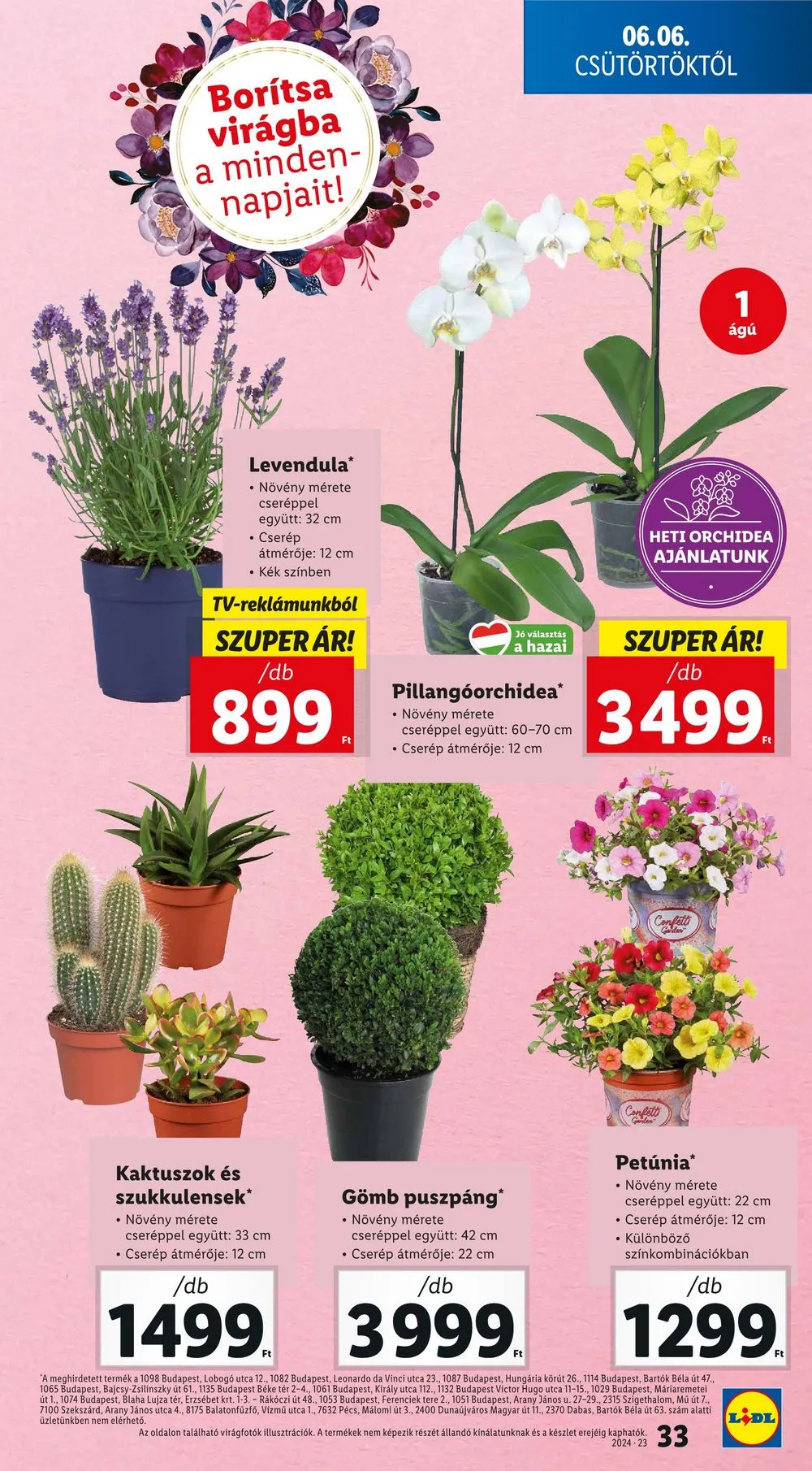 Lidl akciós újság 06.06–06.12 – 33. oldal