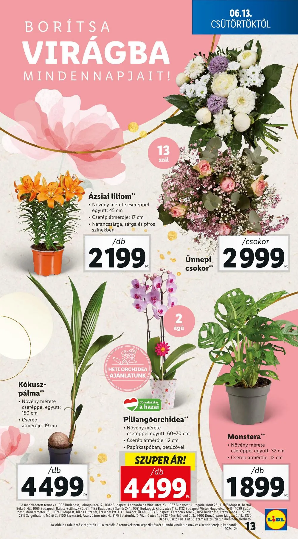 Lidl akciós újság 06.13–06.19 – 13. oldal