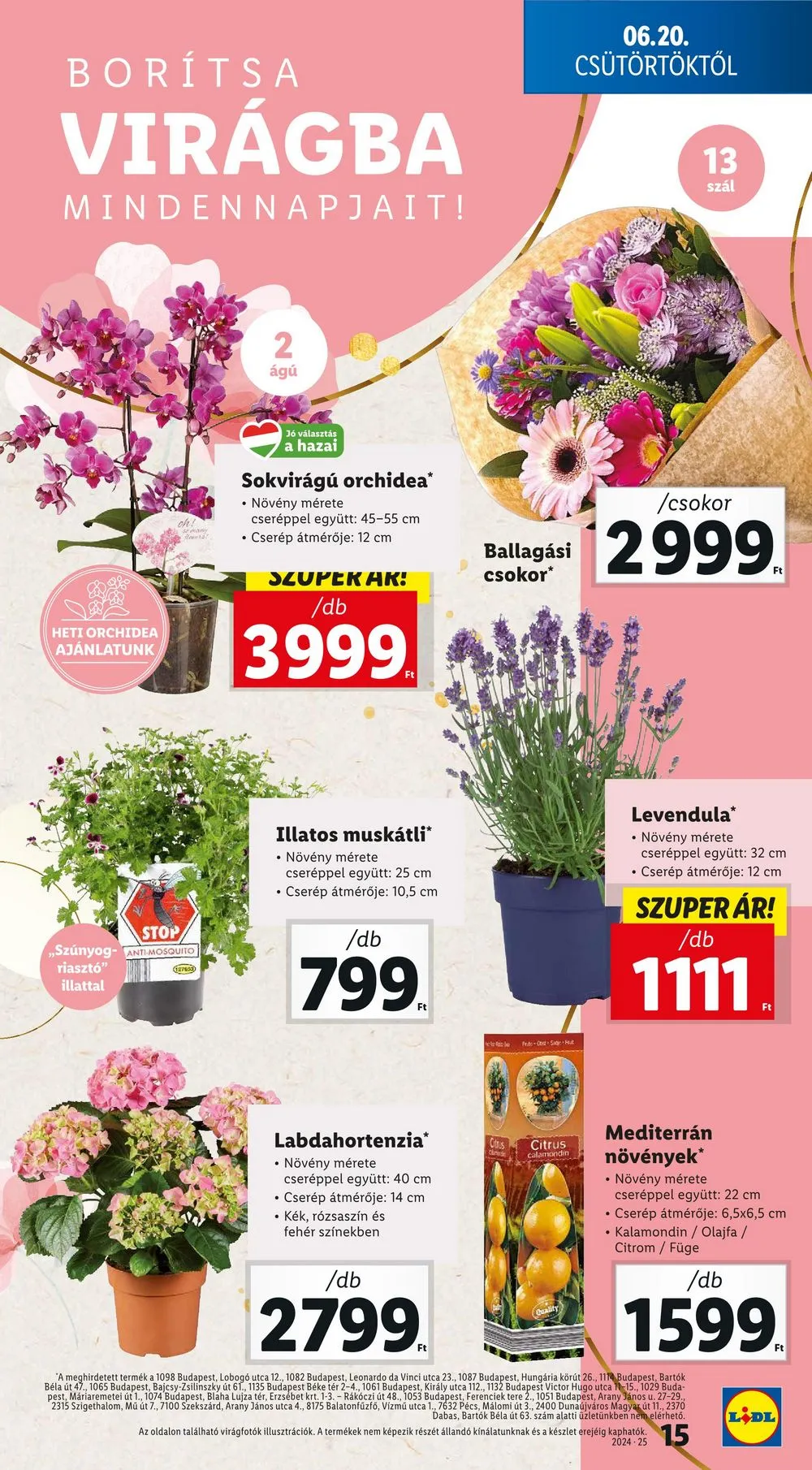 Lidl akciós újság 06.20–06.26 – 15. oldal