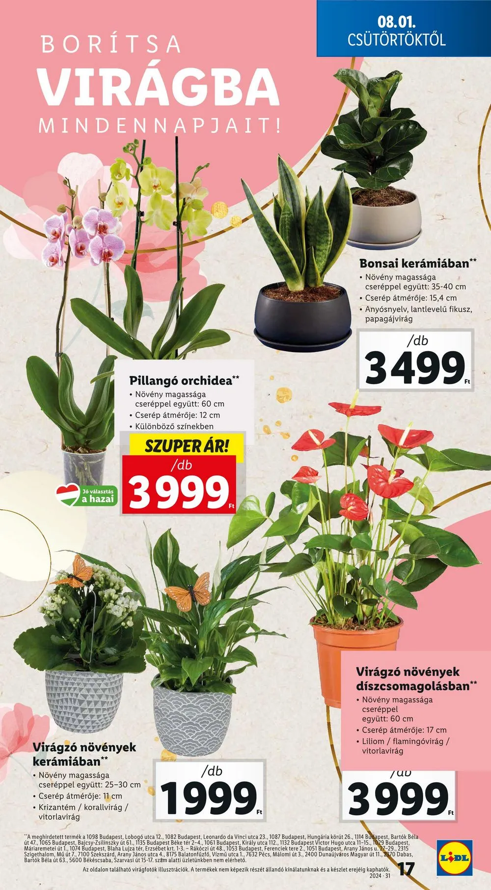 Lidl akciós újság 08.01–08.07 – 17. oldal