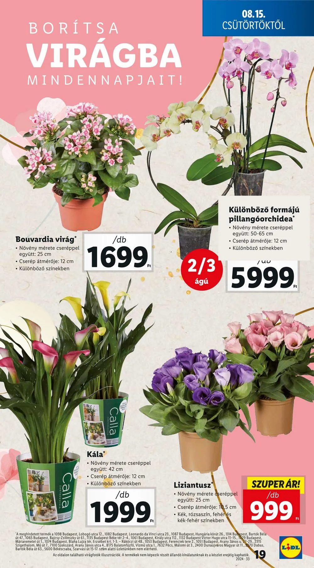 Lidl akciós újság 08.15–08.21 – 19. oldal