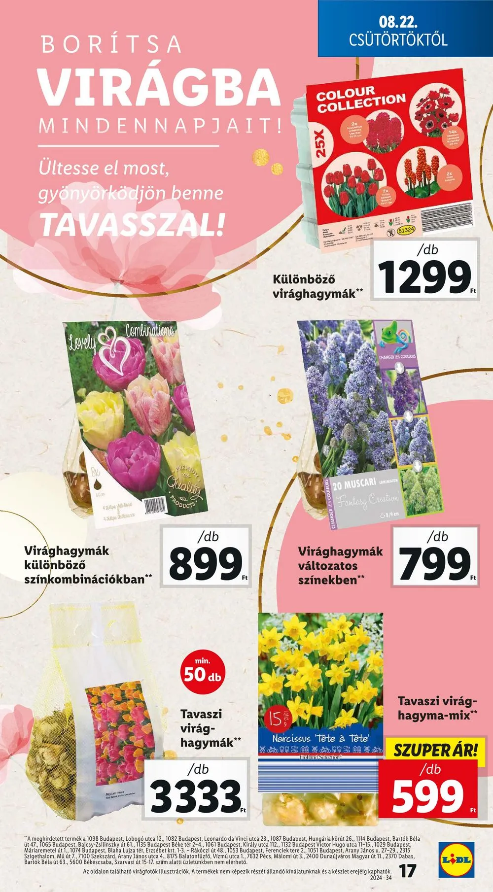Lidl akciós újság 08.22–08.28 – 17. oldal