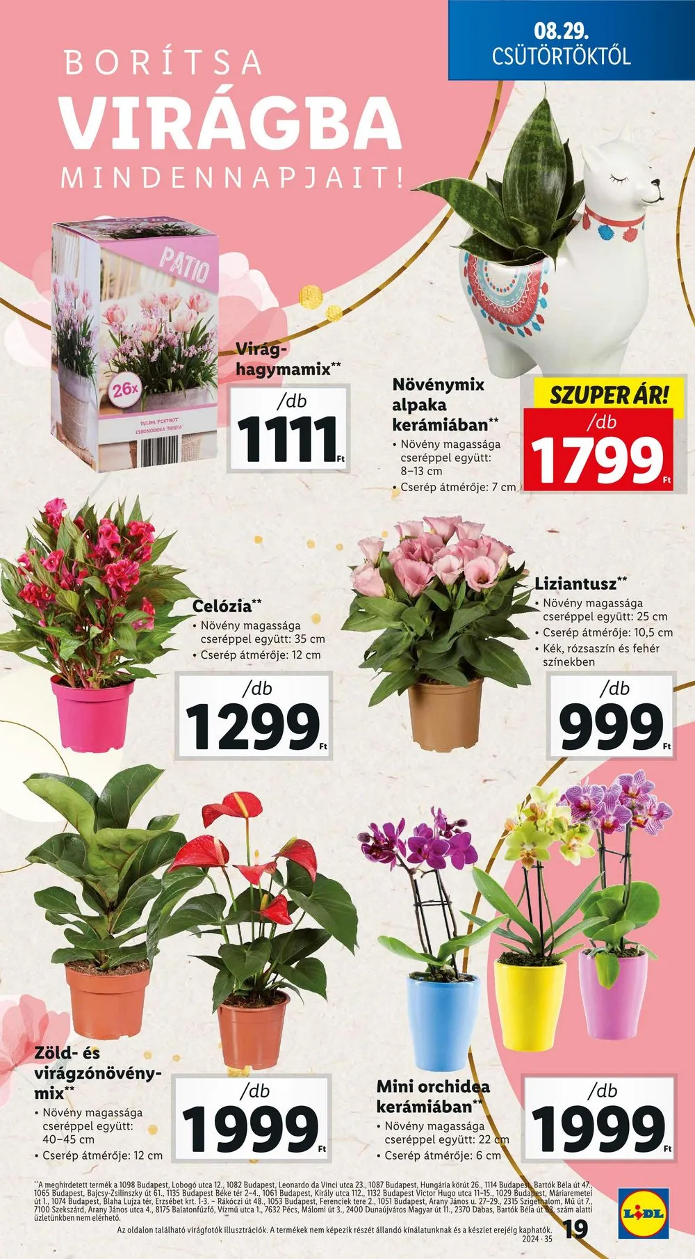 Lidl akciós újság 08.29–09.04 – 19. oldal