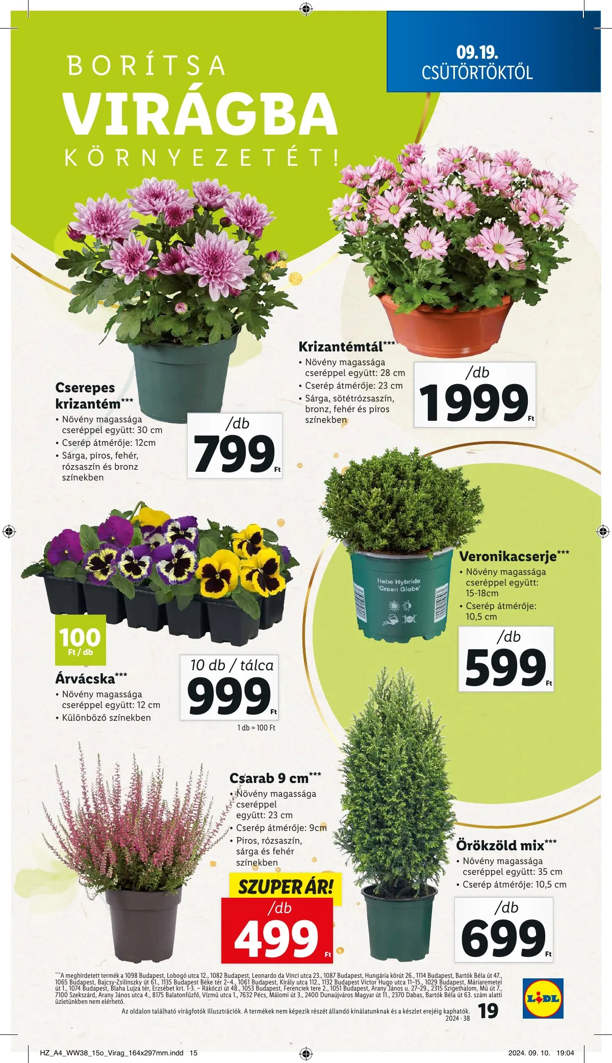 Lidl akciós újság 09.19–09.25 – 19. oldal
