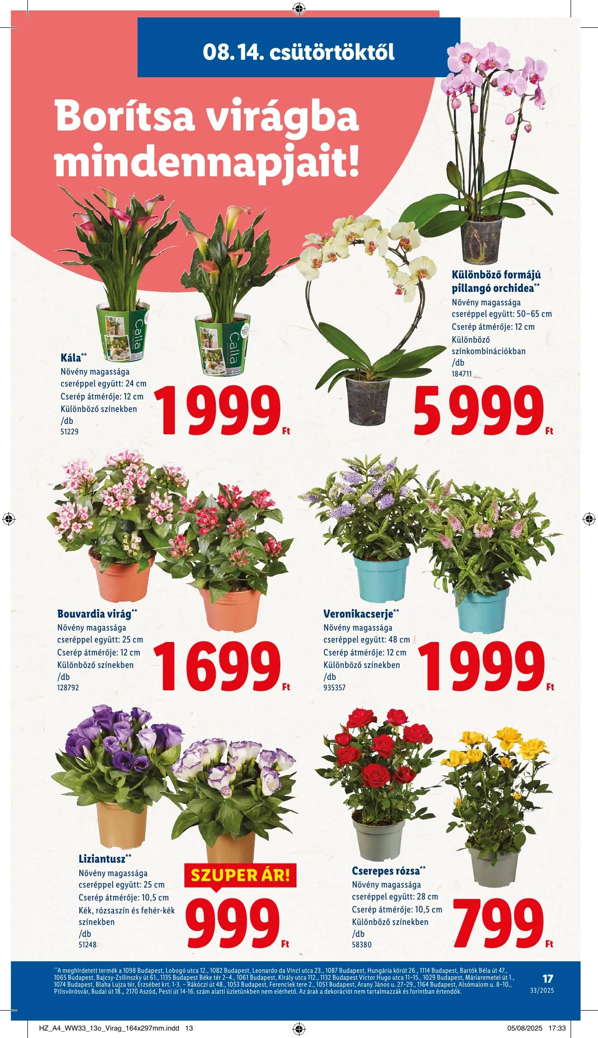 Lidl akciós újság 08.14–08.19 – 17. oldal