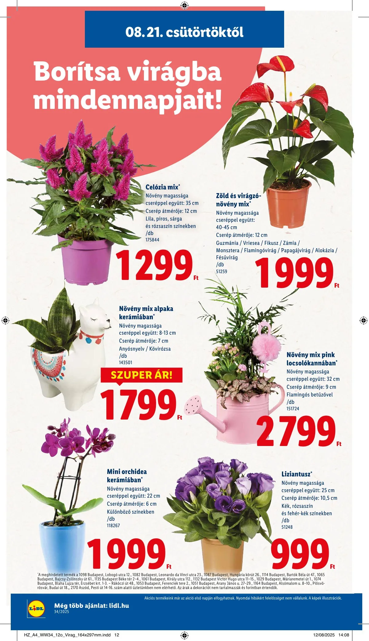 Lidl akciós újság 08.21–08.27 – 16. oldal