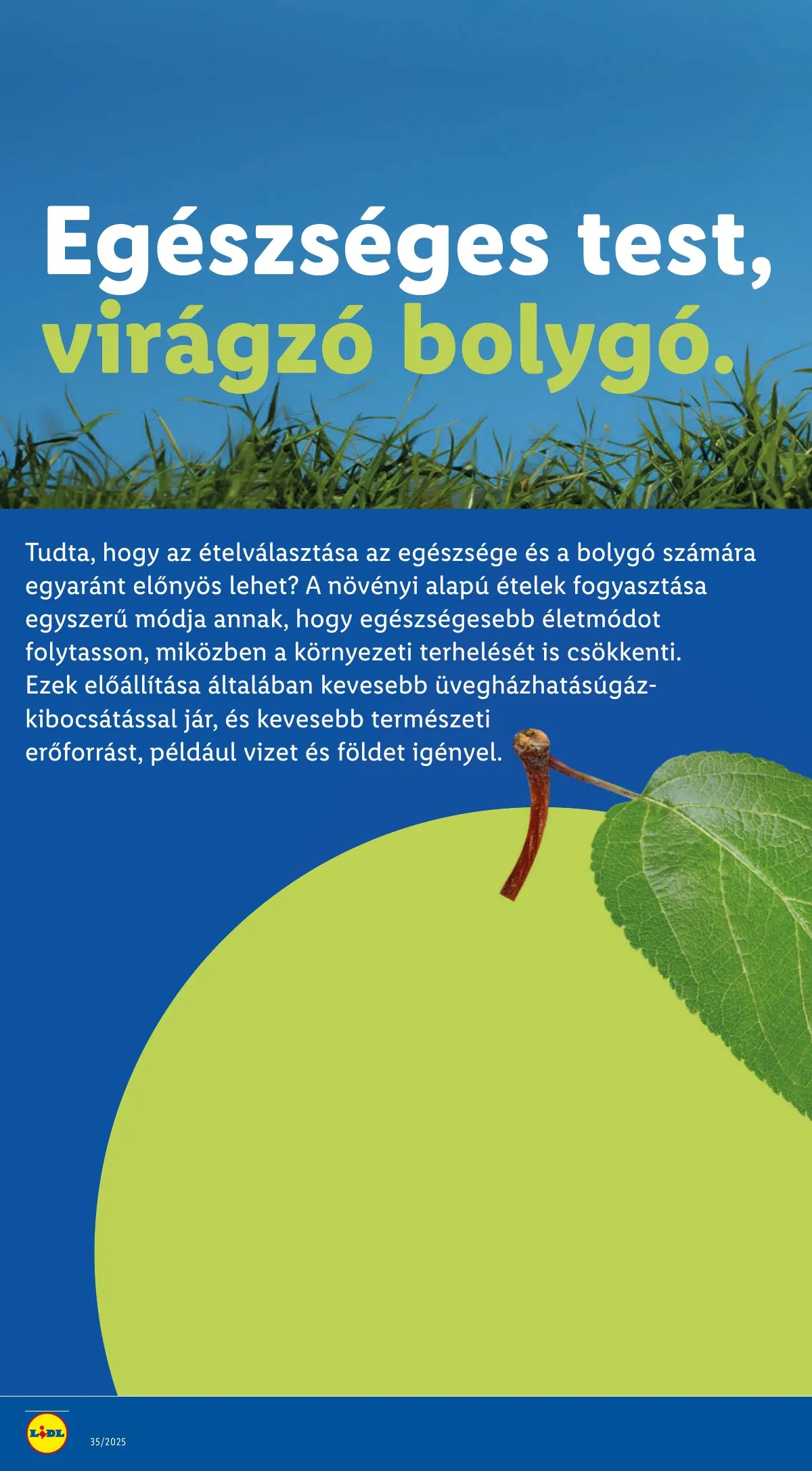 Lidl akciós újság 08.28–09.03 – 32. oldal