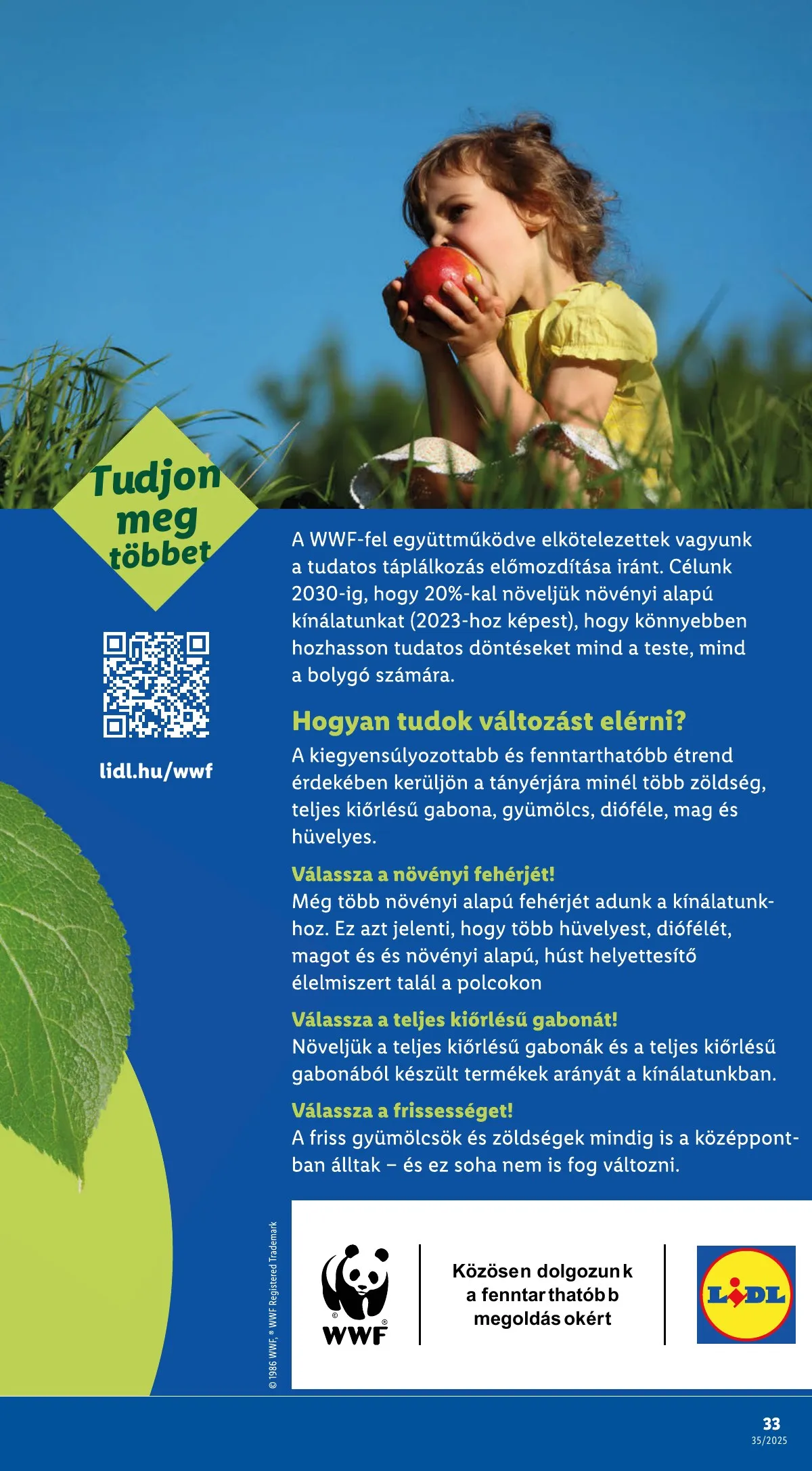 Lidl akciós újság 08.28–09.03 – 33. oldal