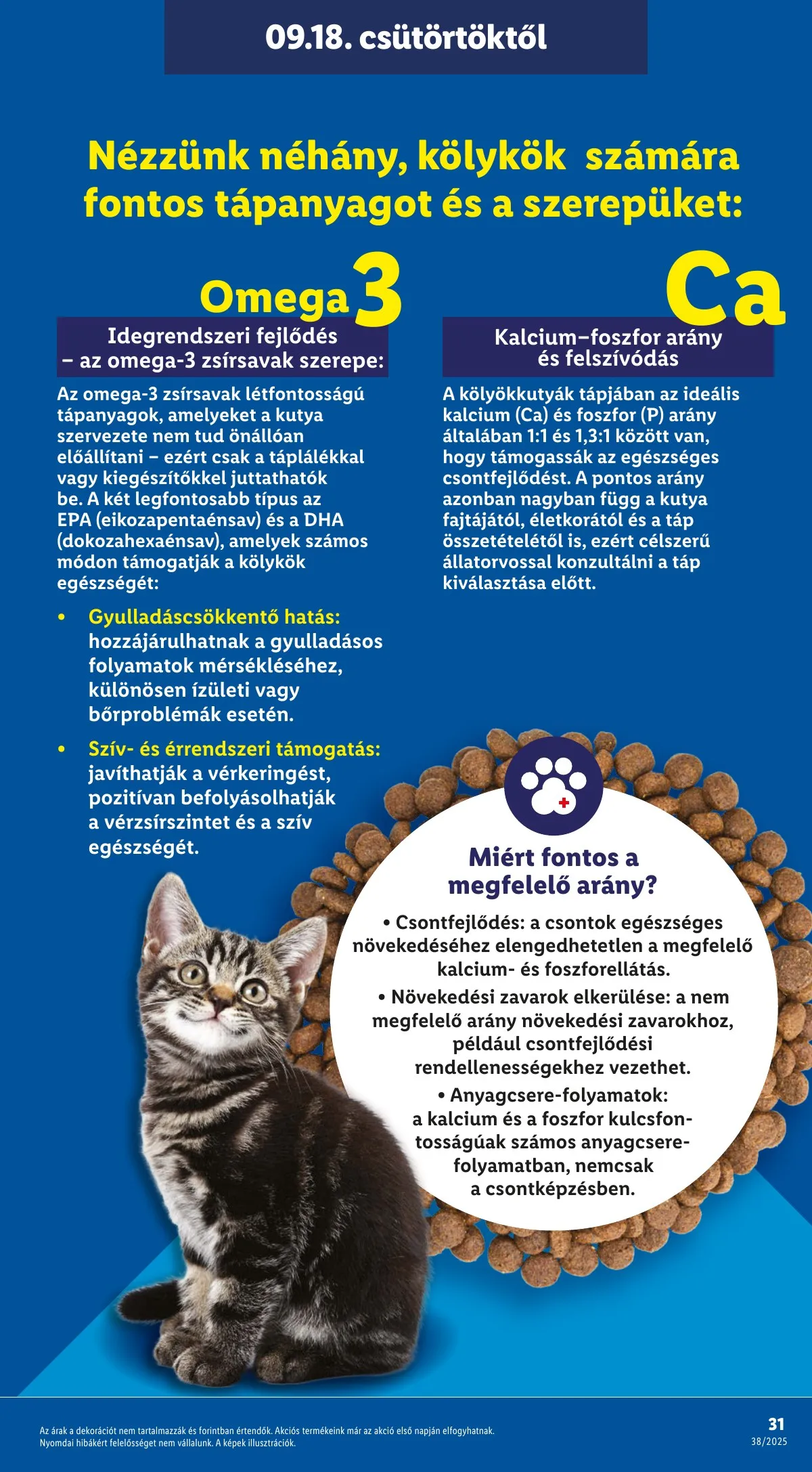 Lidl akciós újság 09.18–09.24 – 31. oldal