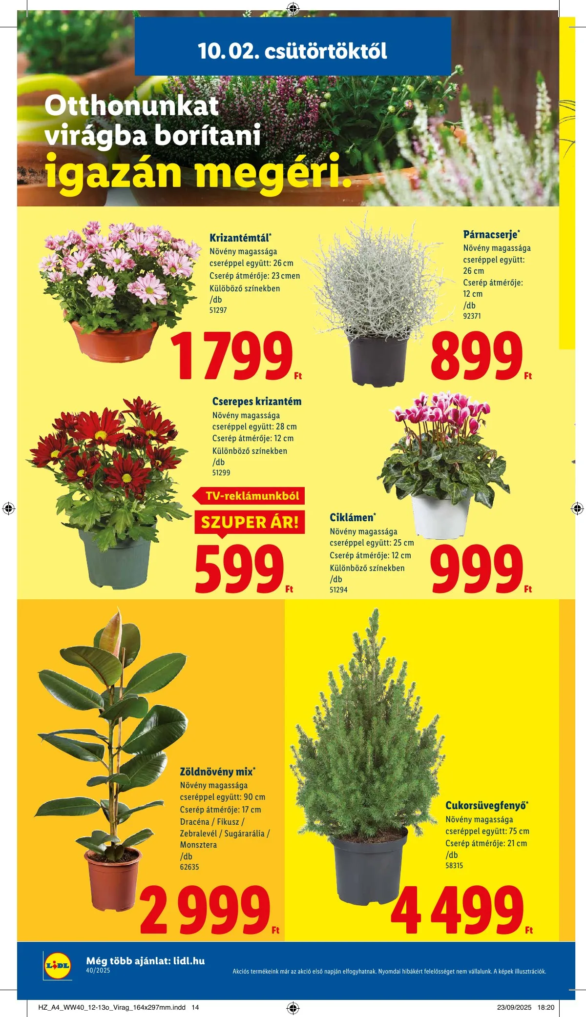 Lidl akciós újság 10.02–10.08 – 26. oldal