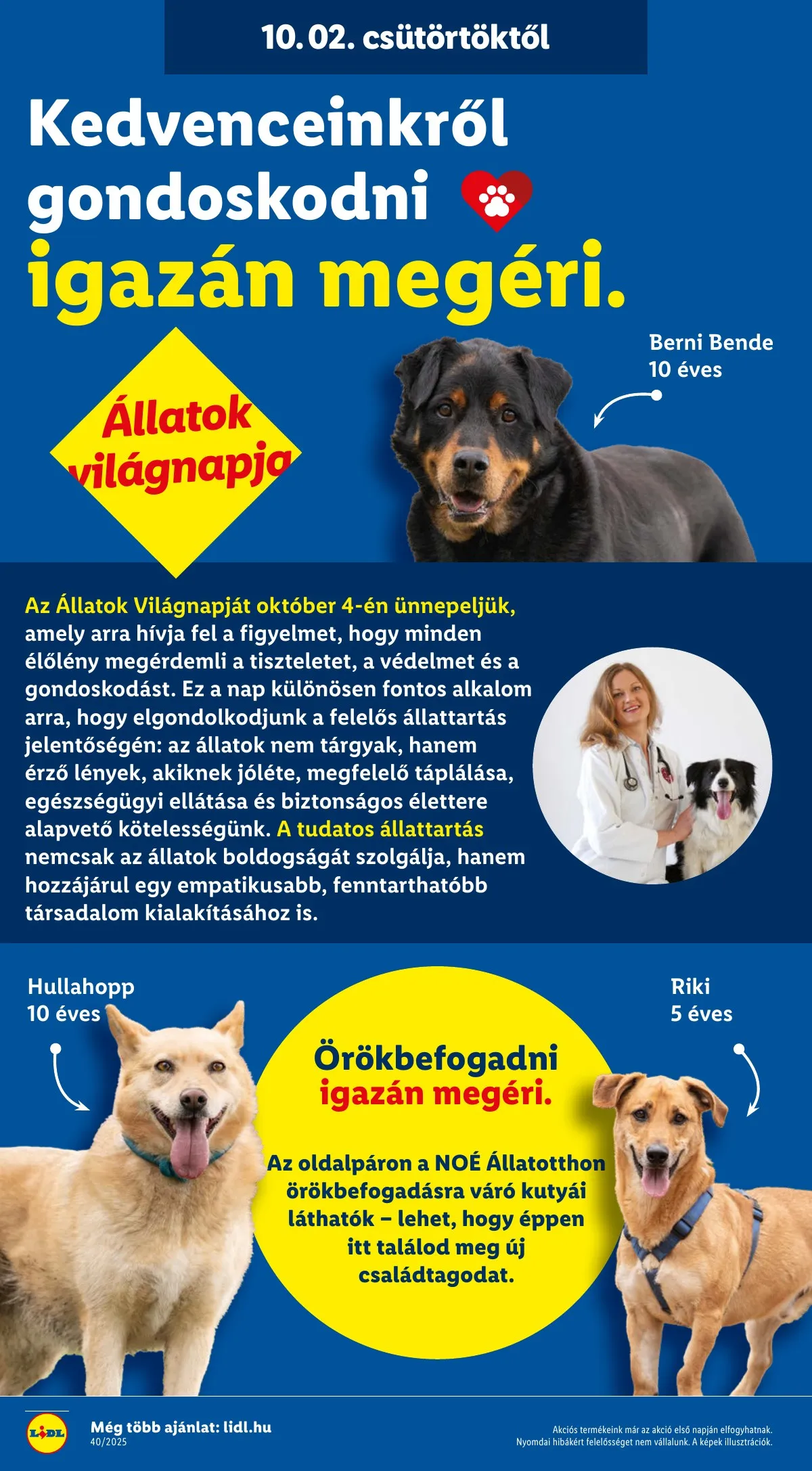Lidl akciós újság 10.02–10.08 – 28. oldal