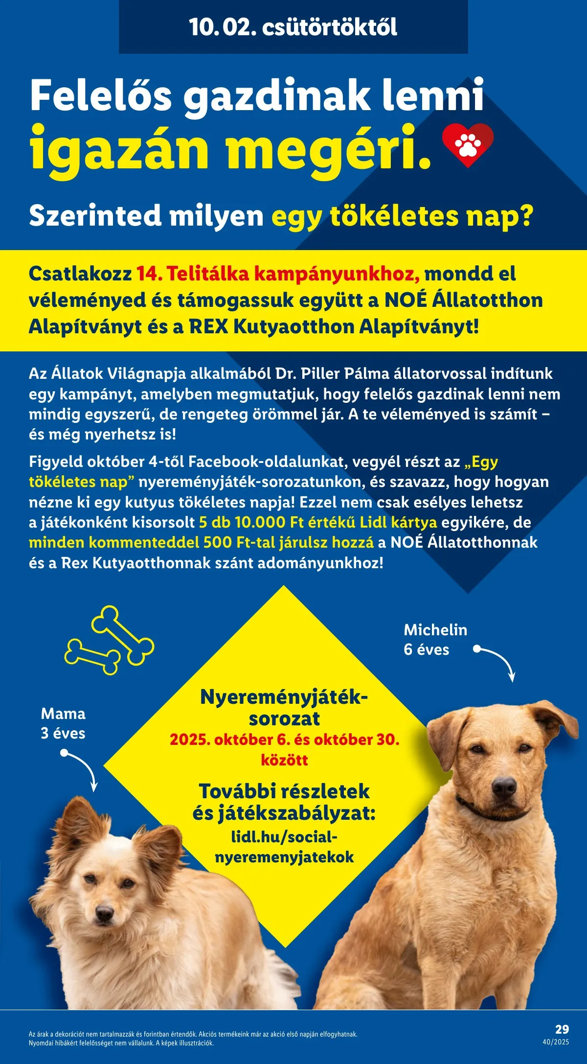 Lidl akciós újság 10.02–10.08 – 29. oldal