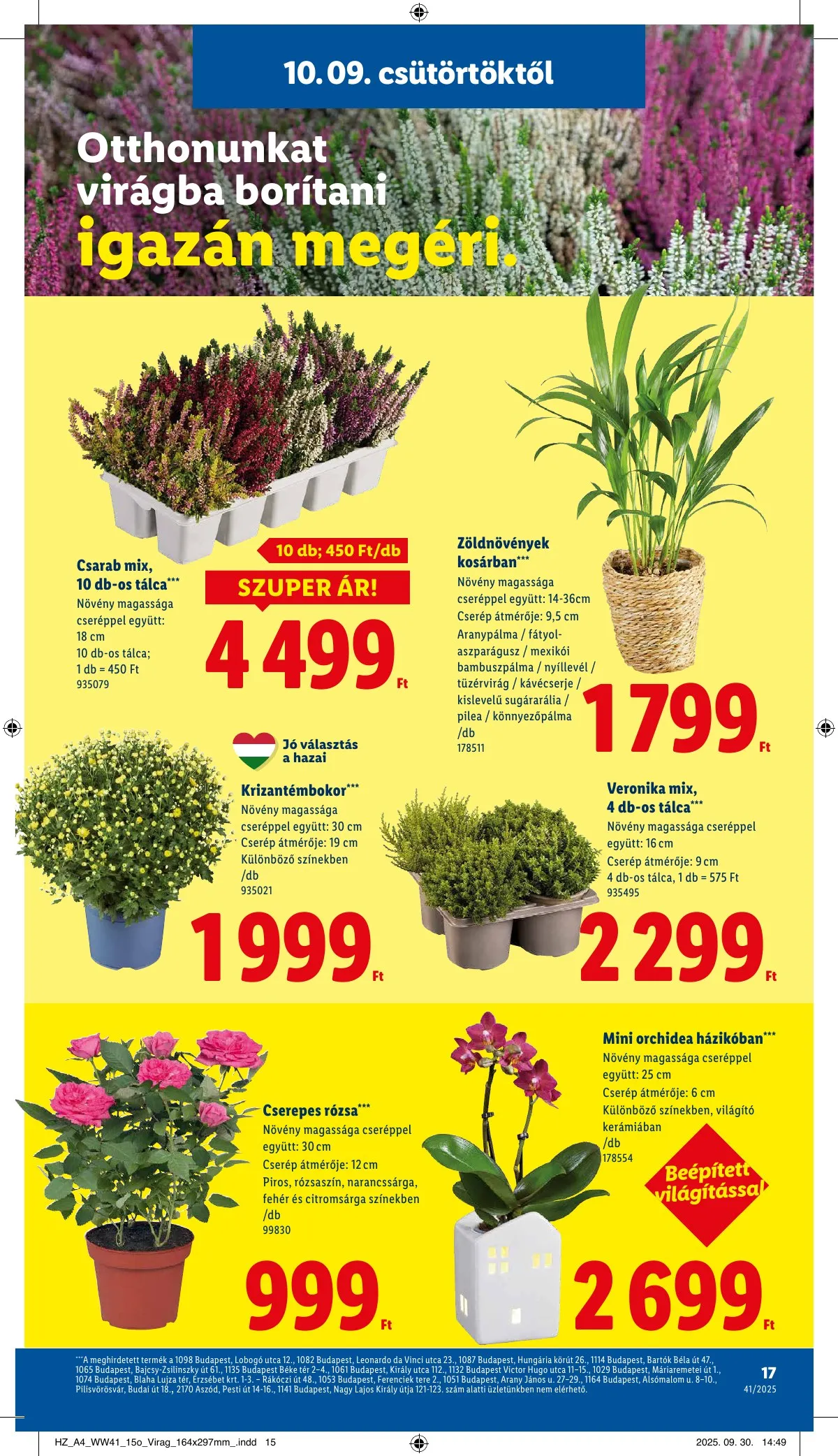 Lidl akciós újság 10.09–10.15 – 17. oldal