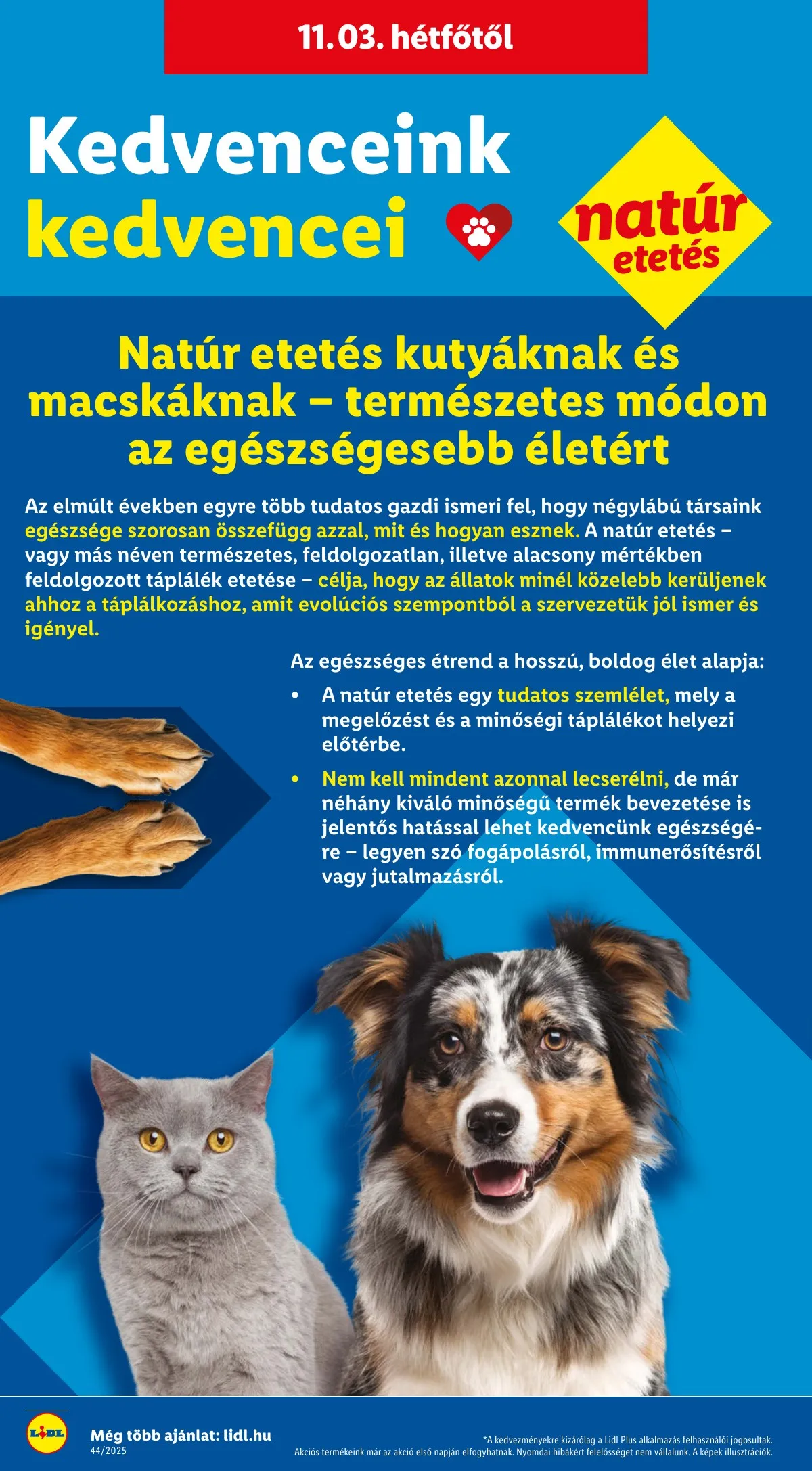 Lidl akciós újság 10.30–11.05 – 42. oldal