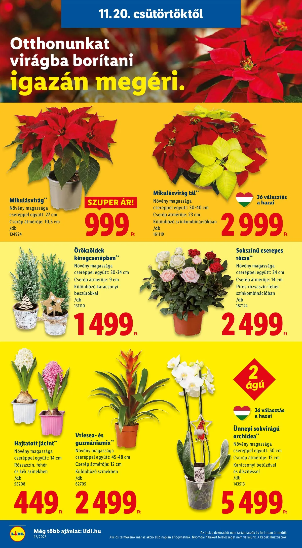 Lidl akciós újság 11.20–11.26 – 6. oldal