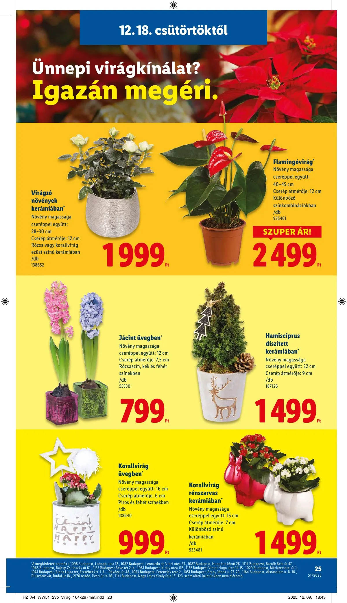 Lidl akciós újság 12.18–12.23 – 25. oldal