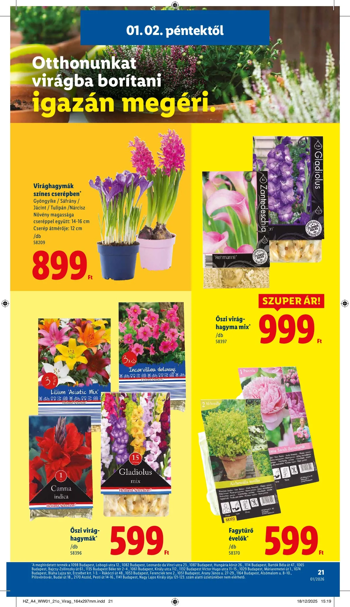 Lidl akciós újság 01.02–01.07 – 21. oldal