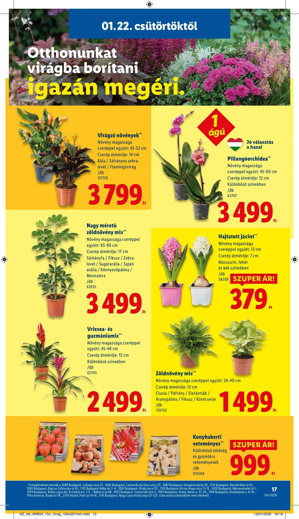 Lidl akciós újság 01.22–01.28 – 17. oldal