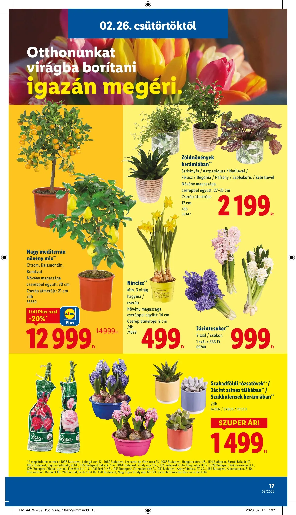 Lidl akciós újság 02.26–03.04 – 17. oldal