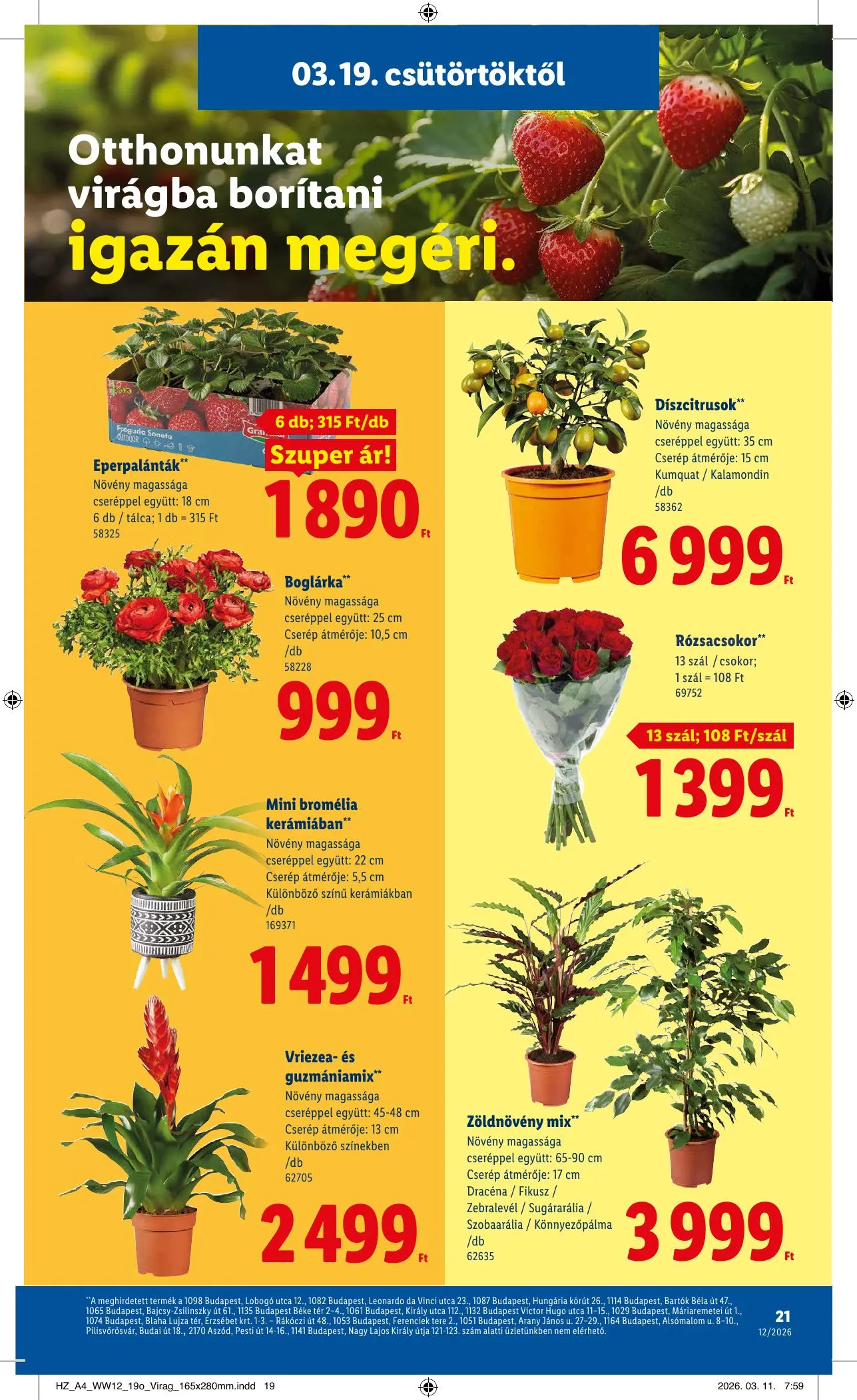 Lidl akciós újság 03.19–03.25 – 21. oldal