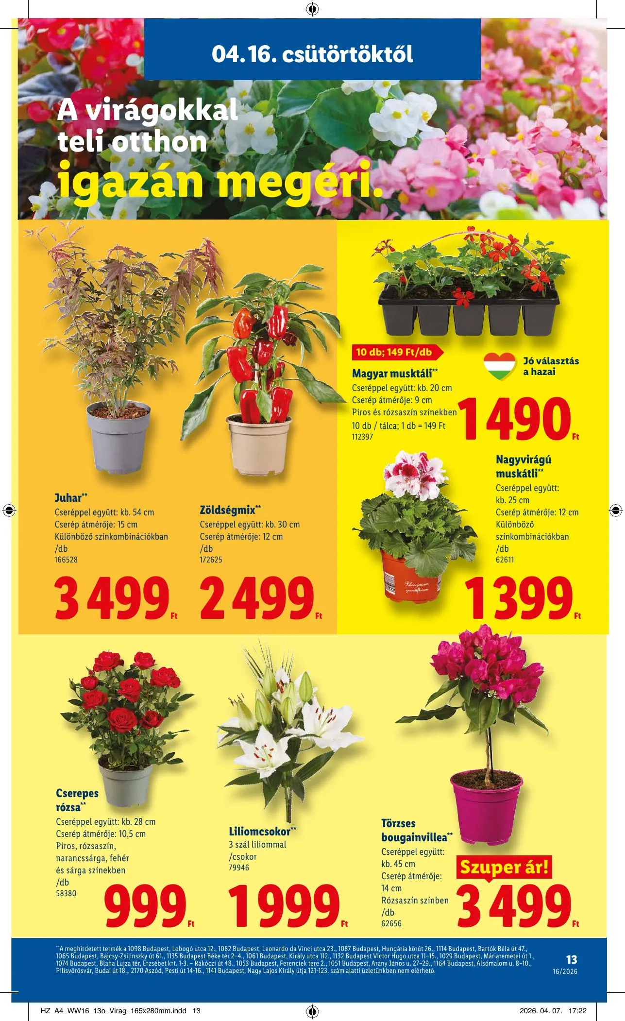 Lidl akciós újság 04.16–04.22 – 13. oldal