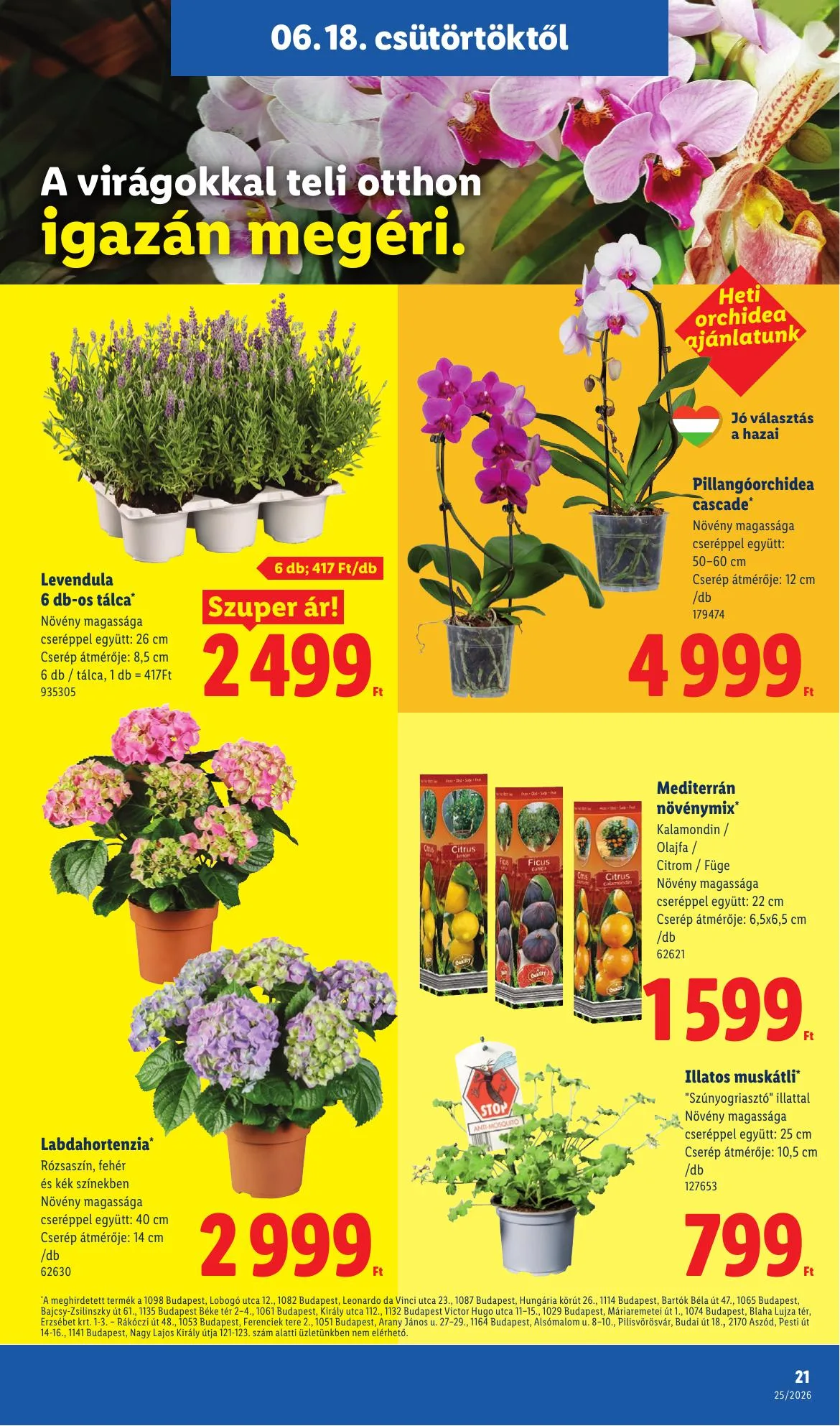 Lidl akciós újság 06.18–06.24 – 21. oldal