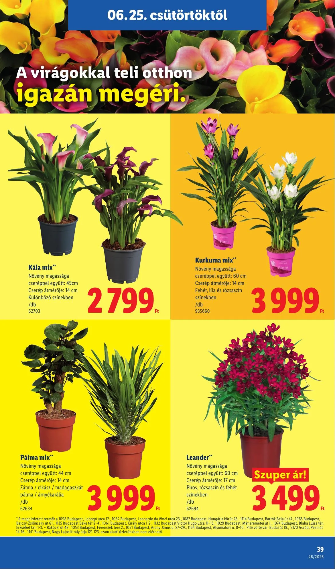 Lidl akciós újság 06.25–07.01 – 39. oldal