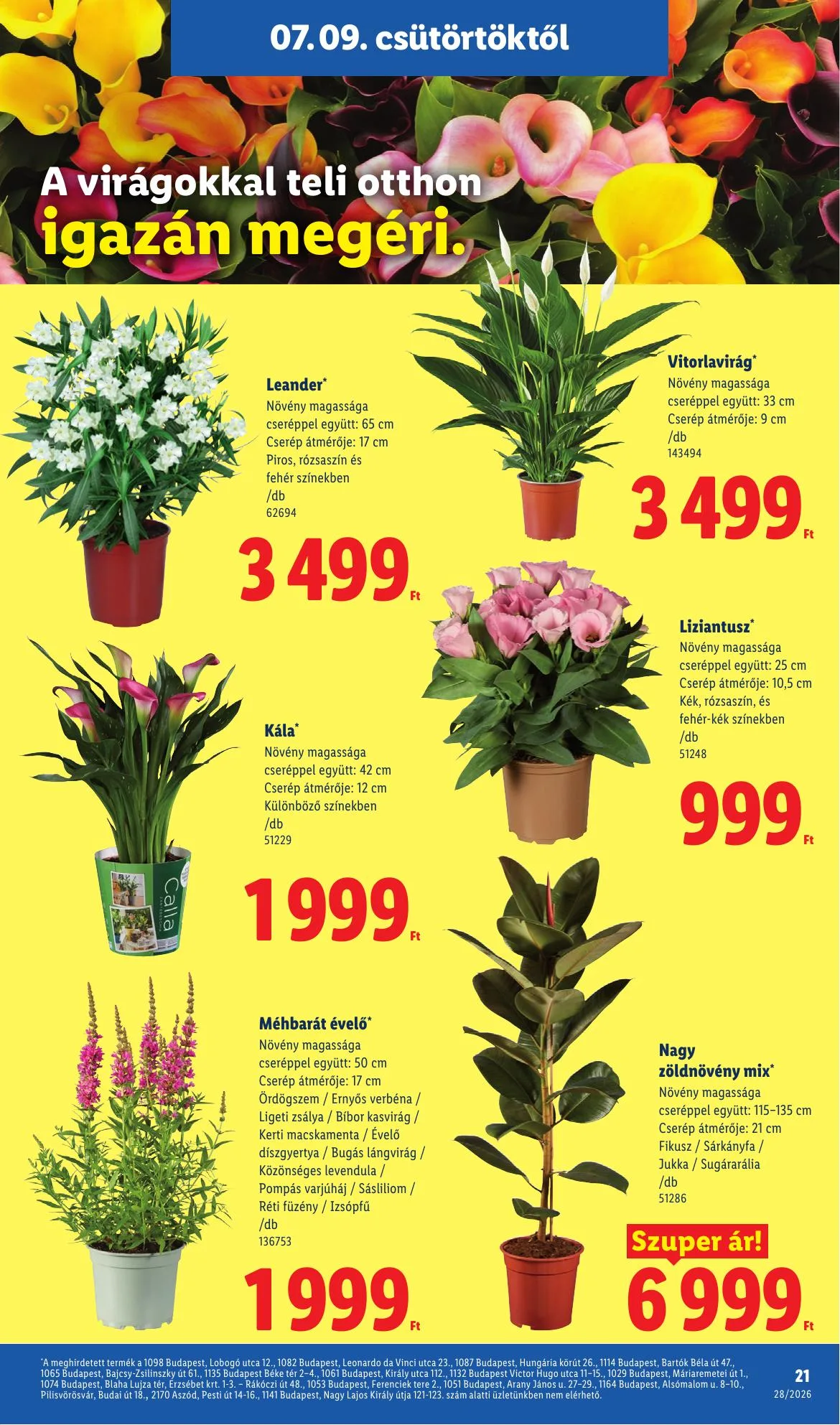 Lidl akciós újság 07.09–07.15 – 21. oldal
