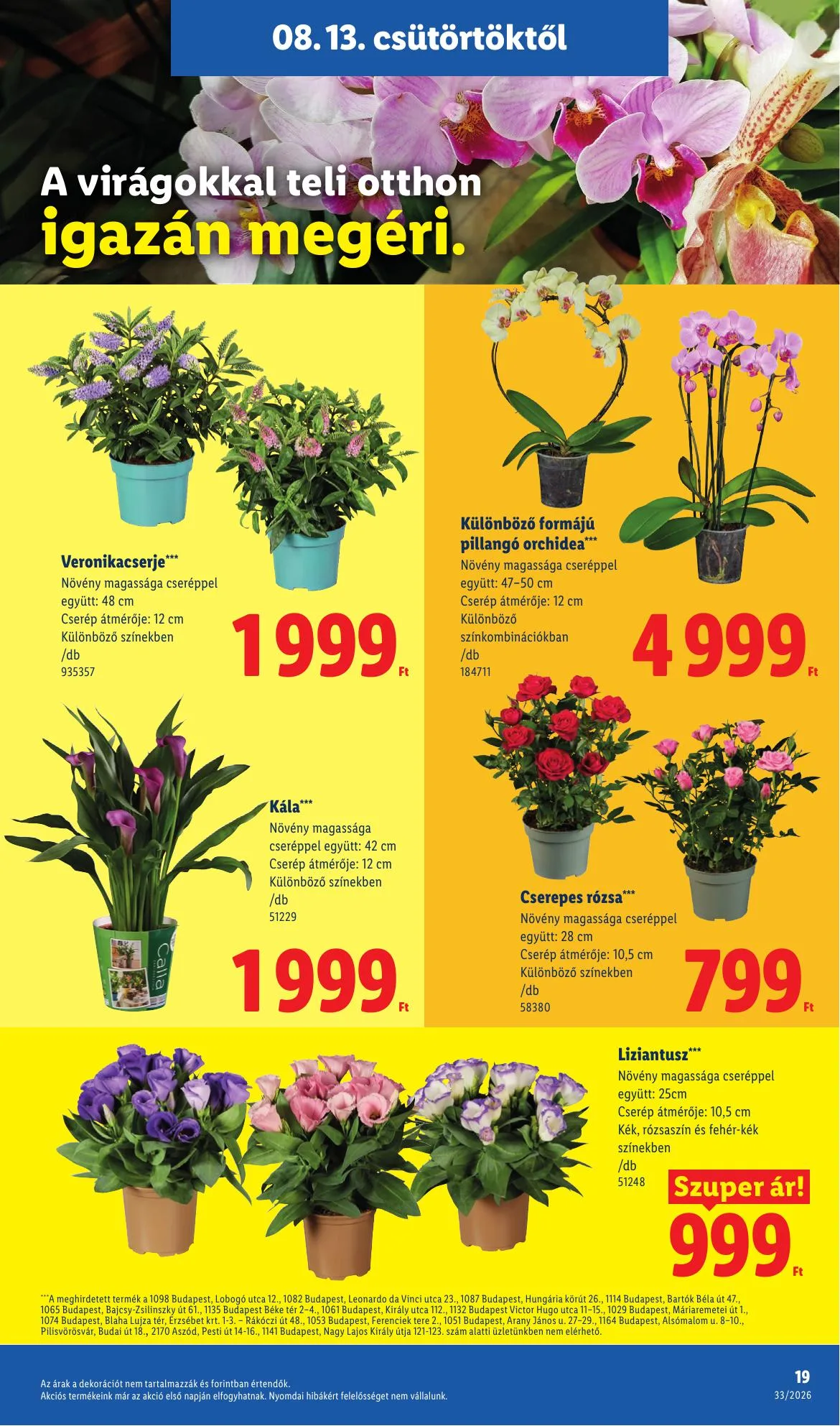 Lidl akciós újság 08.13–08.18 – 19. oldal