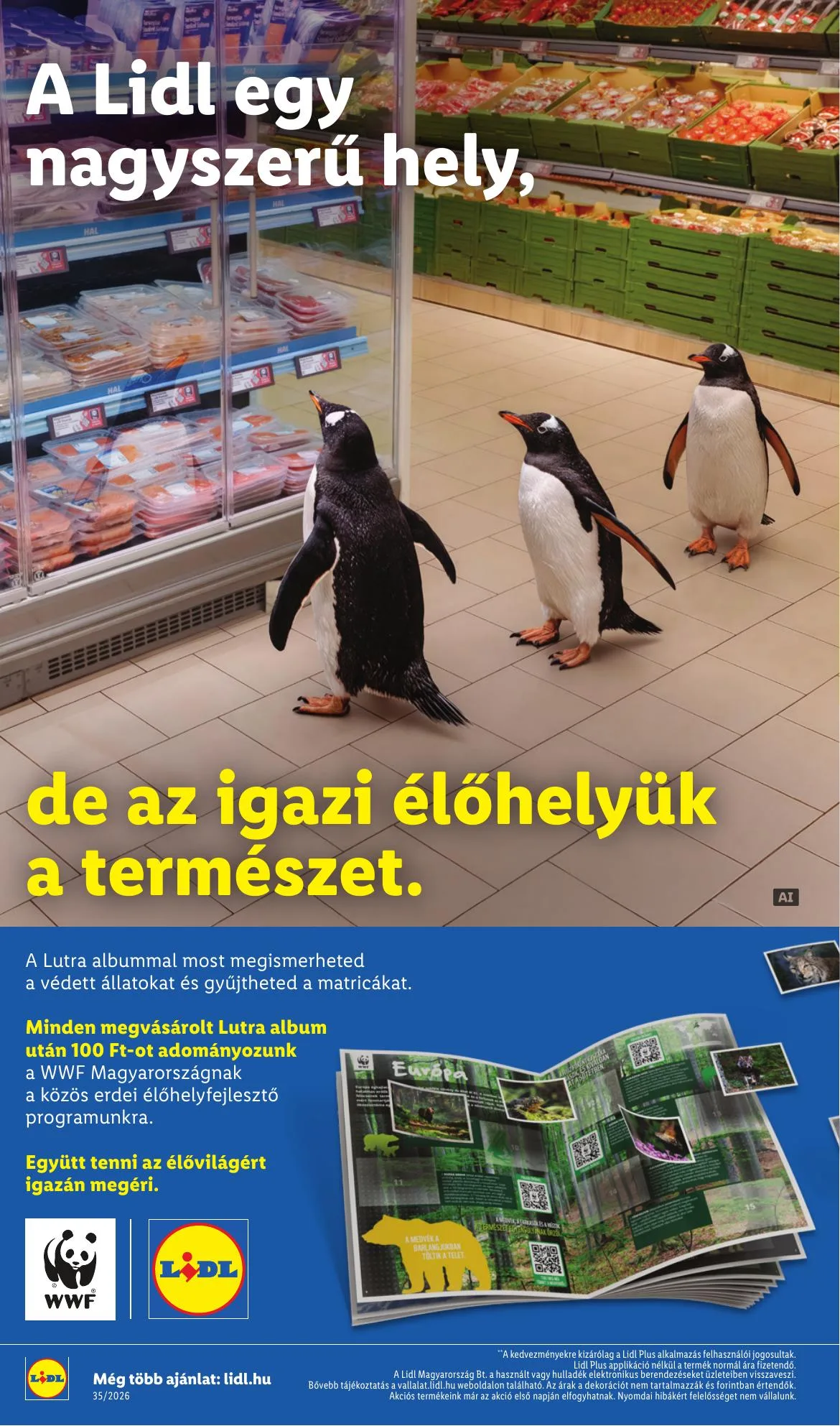 Lidl akciós újság 08.27–09.02 – 36. oldal