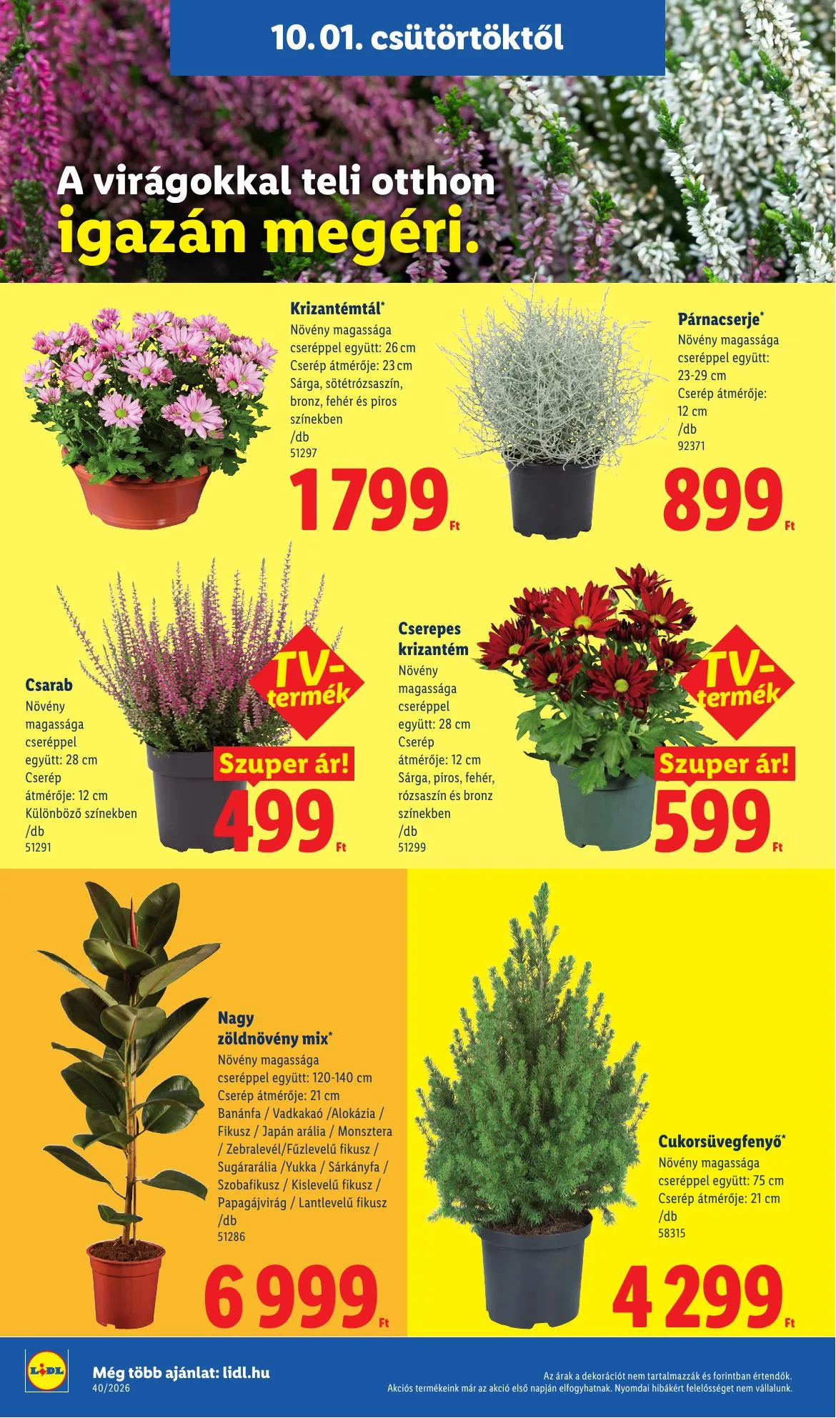 Lidl akciós újság 10.01–10.07 – 26. oldal