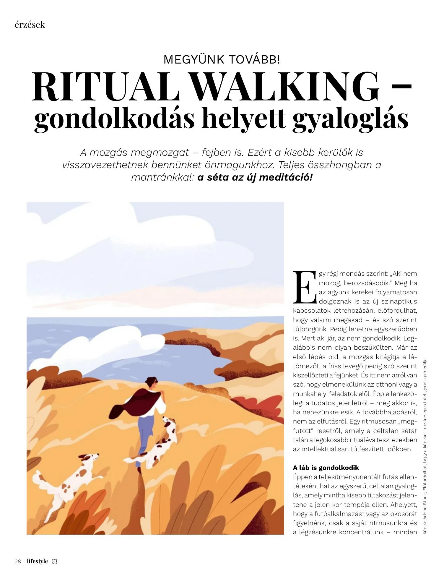 Müller akciós újság Lifestyle 06.01–06.01 – 28. oldal