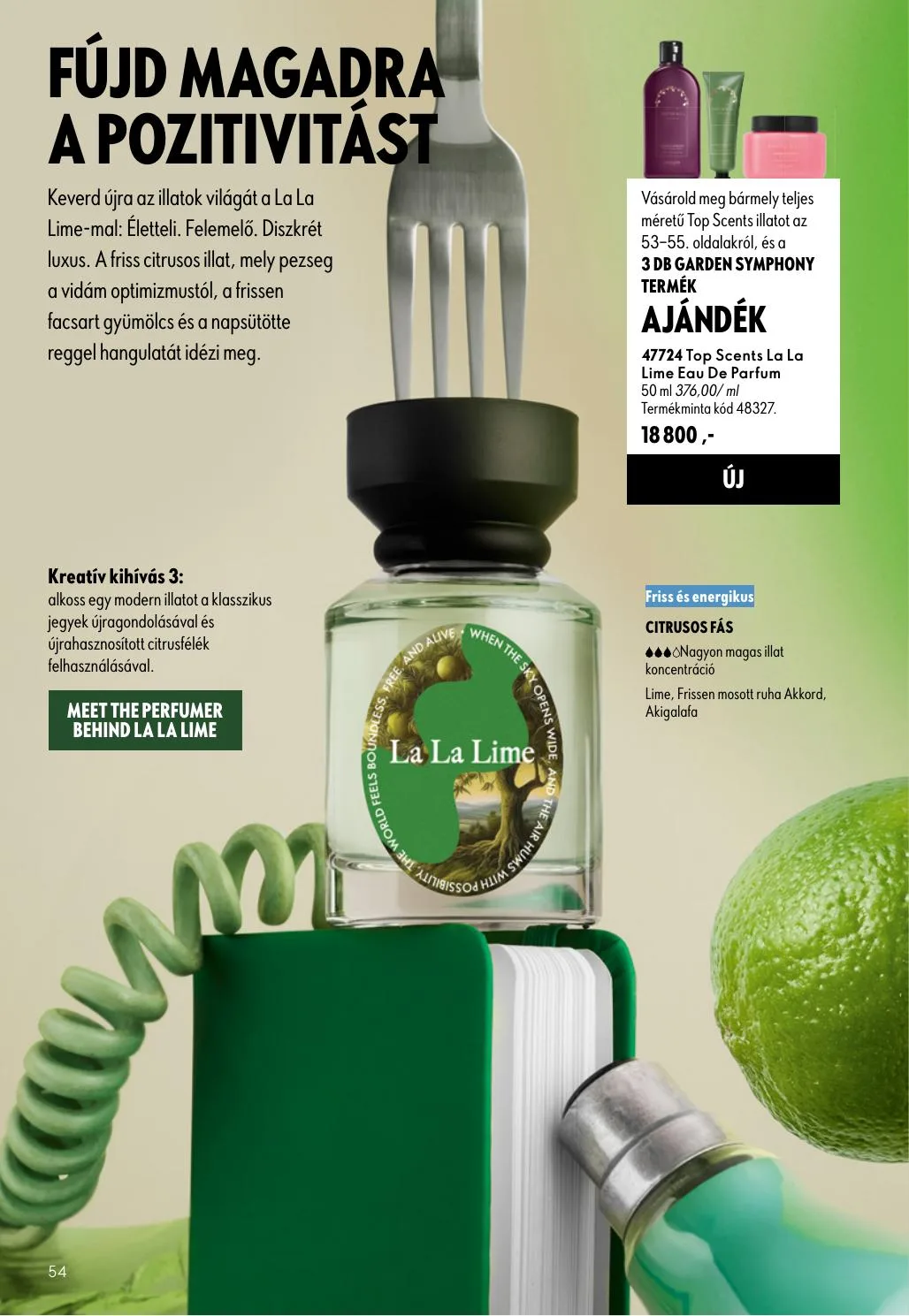 Oriflame akciós újság 08.19–09.08 – 54. oldal