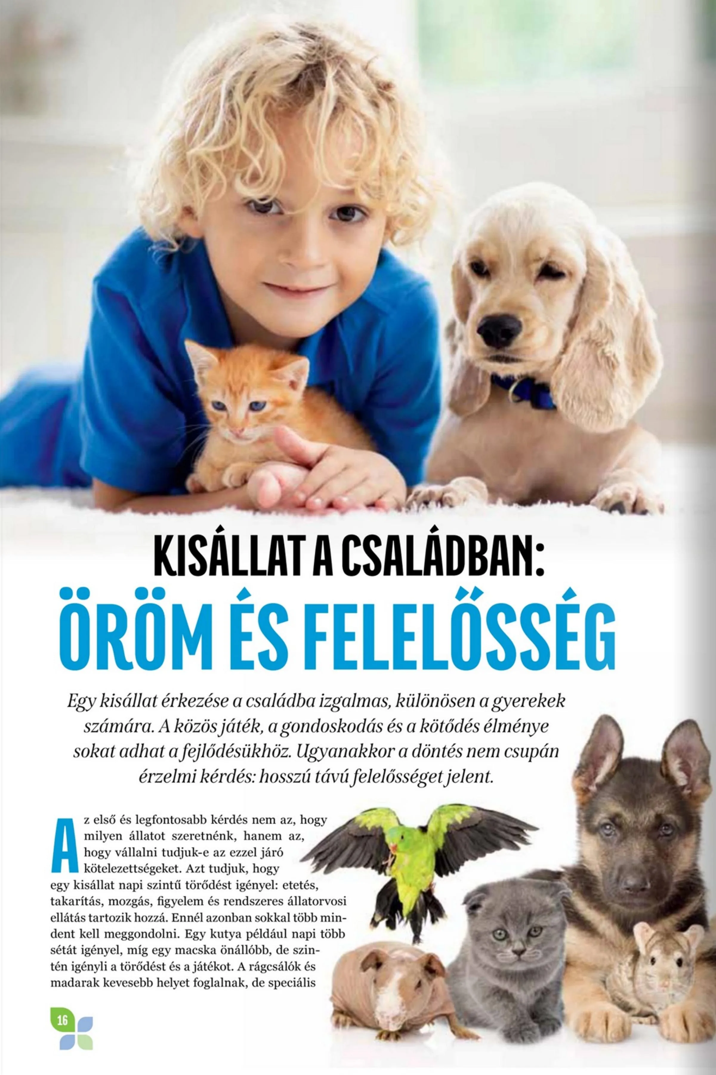 Szimpatika akciós újság 06.01–06.30 – 16. oldal
