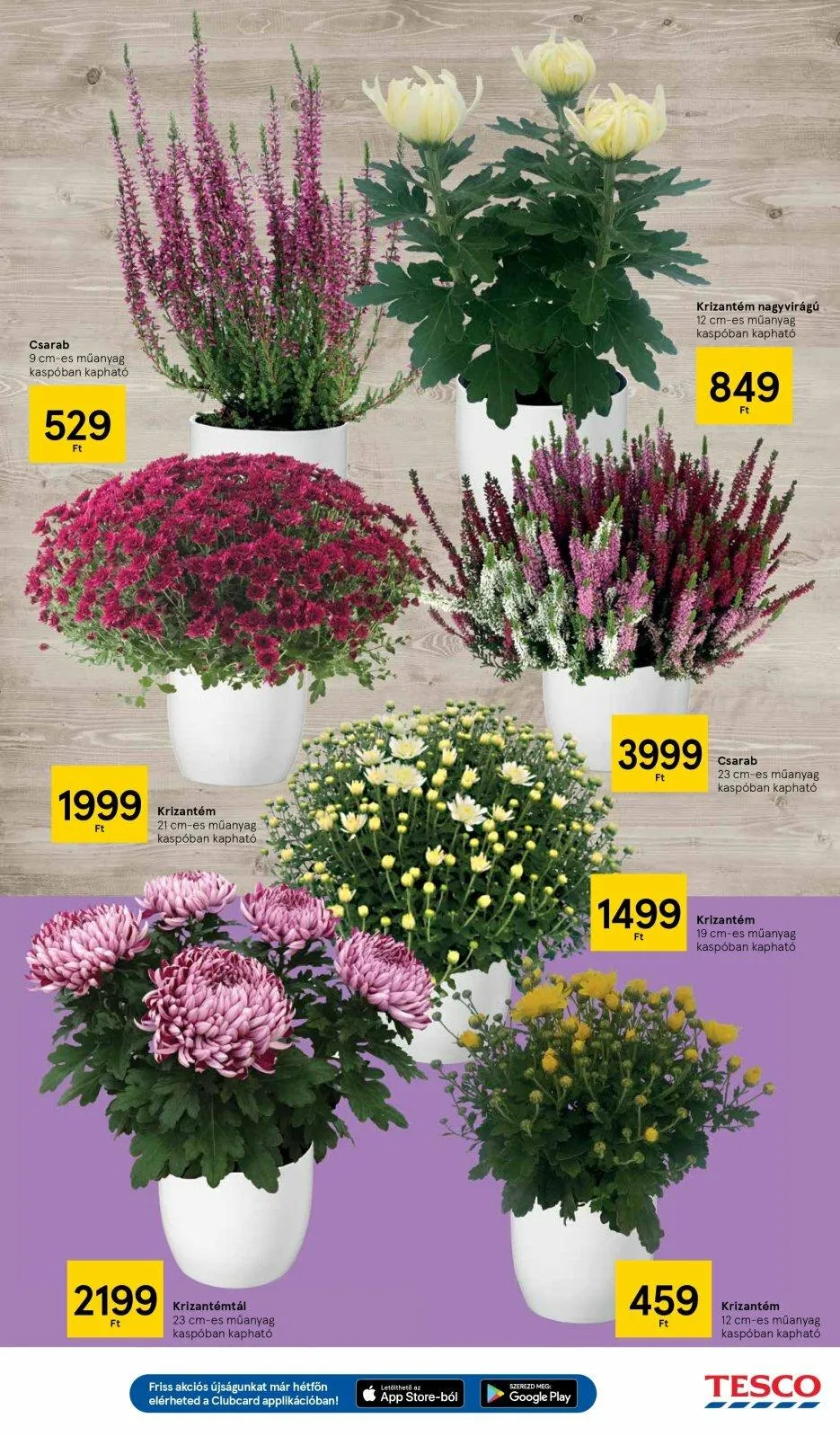 Tesco akciós újság 10.27–11.02 – 15. oldal
